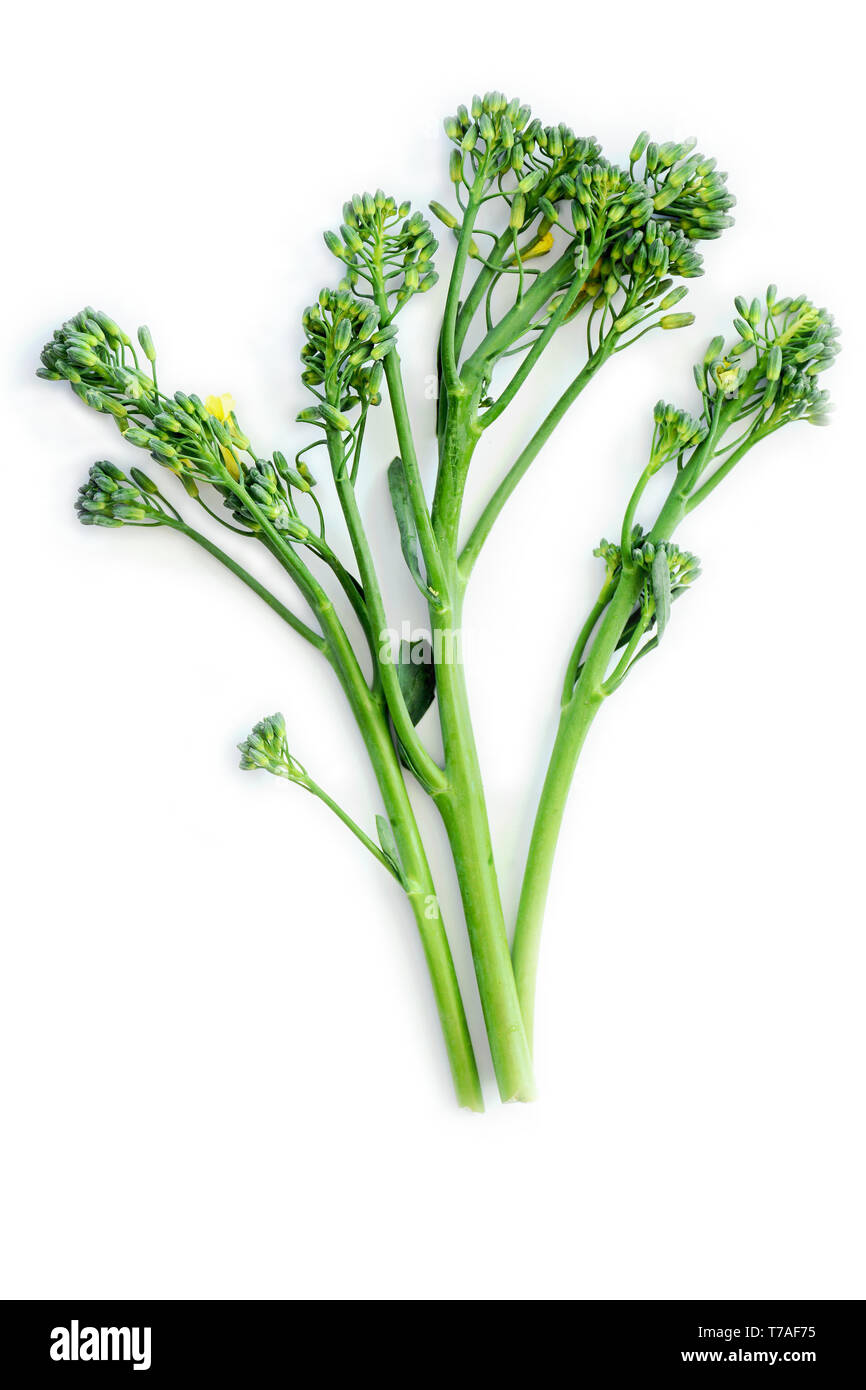 Frische broccolini Stengel in vertikalen Format auf weißem Hintergrund Schuß von Overhead. Gesunde Ernährung Konzept. Stockfoto
