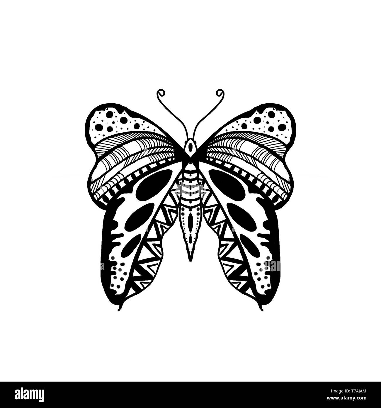 Schwarze Hand gezeichnet Zentangle Stil Schmetterling Abbildung. Schmetterlingsflügel Stockfoto