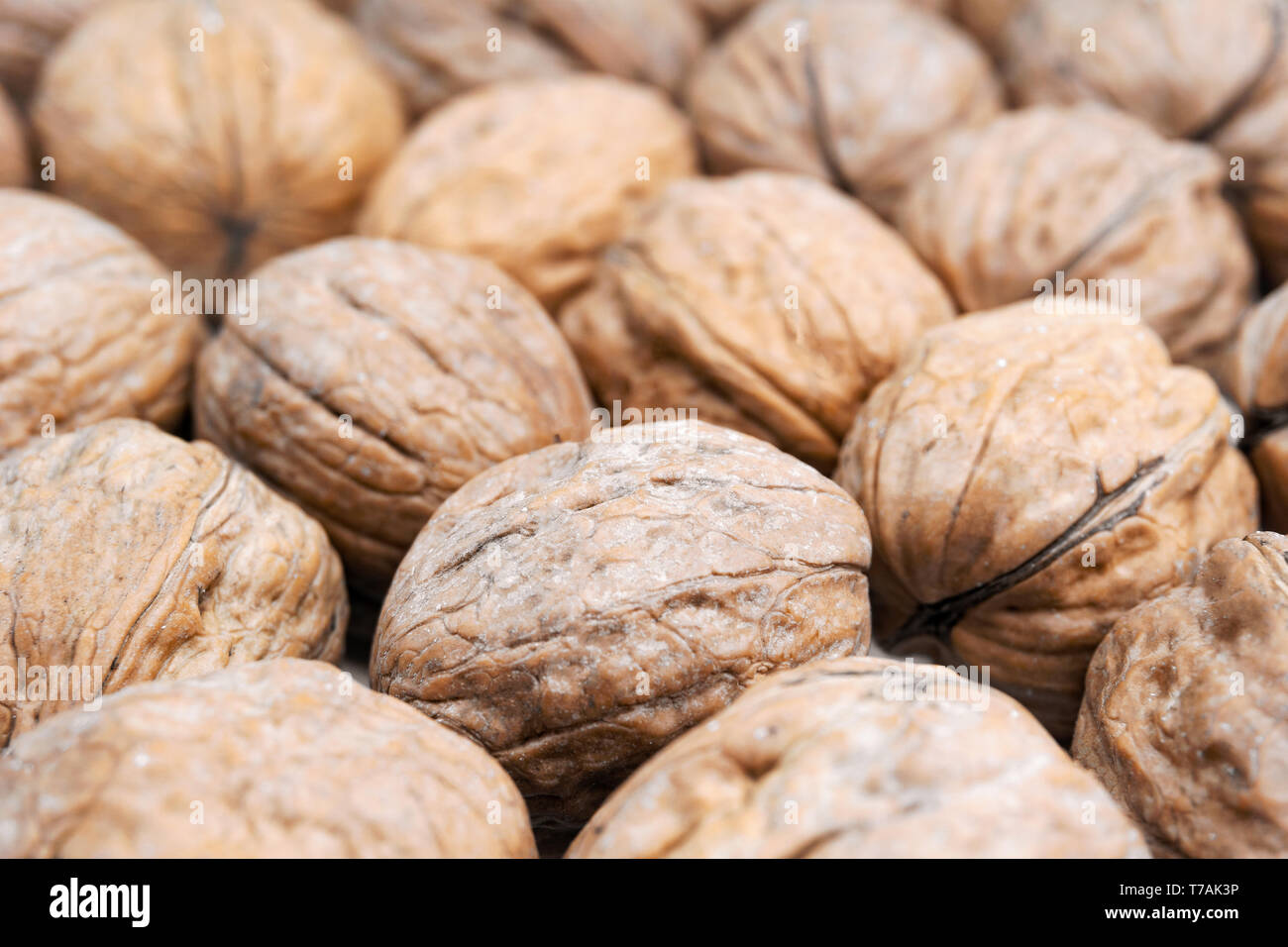 Close-up viele gesunde Walnüsse. Blick auf frische Walnüsse. Gesunde Nüsse mit Omega-3-Fettsäuren und Antioxidantien für eine gesunde und schöne Haut. Stockfoto