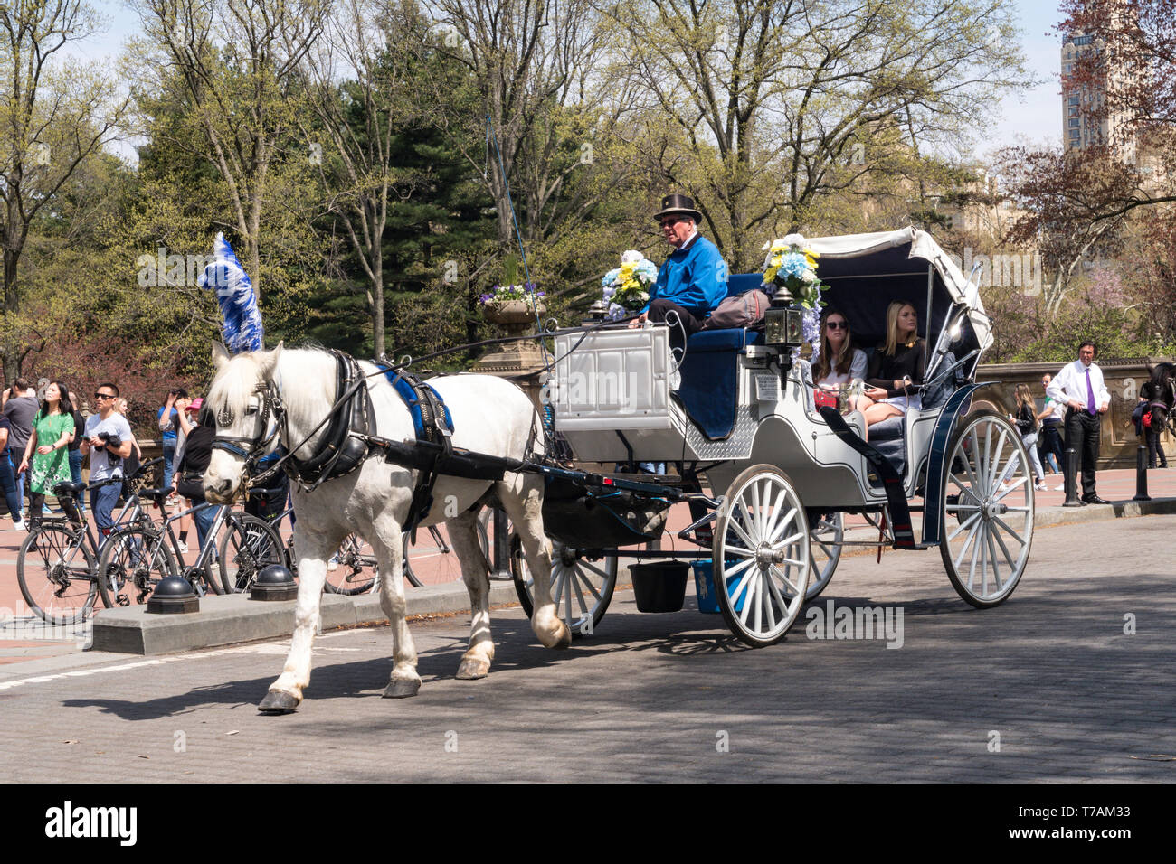 Touristen genießen Reiten und Kutschfahrten im Frühling im Central Park, New York City, USA Stockfoto