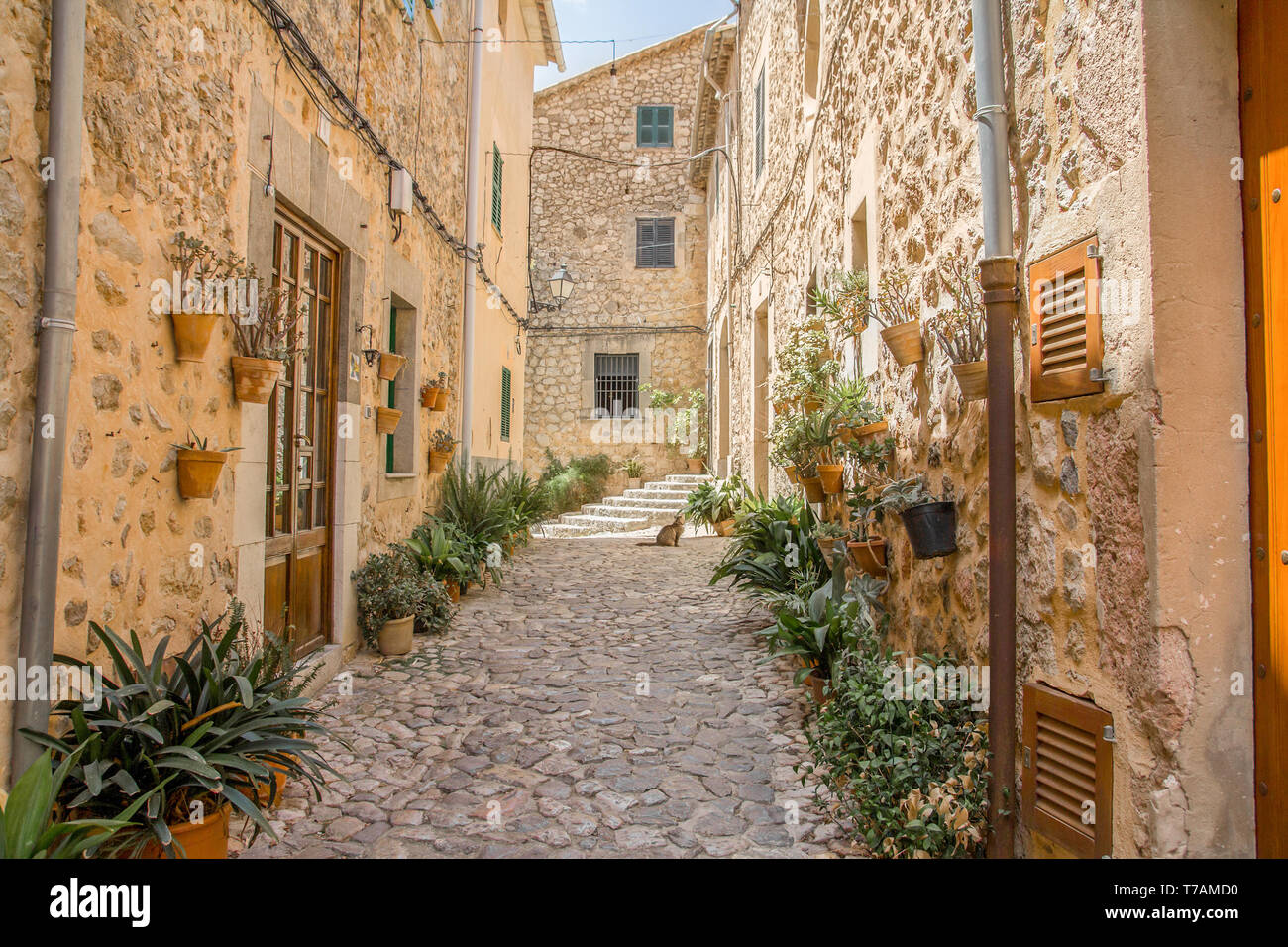 Typisch mediterranen Straße mit Kopfsteinpflaster in Valldemossa, Mallorca, Spanien Stockfoto