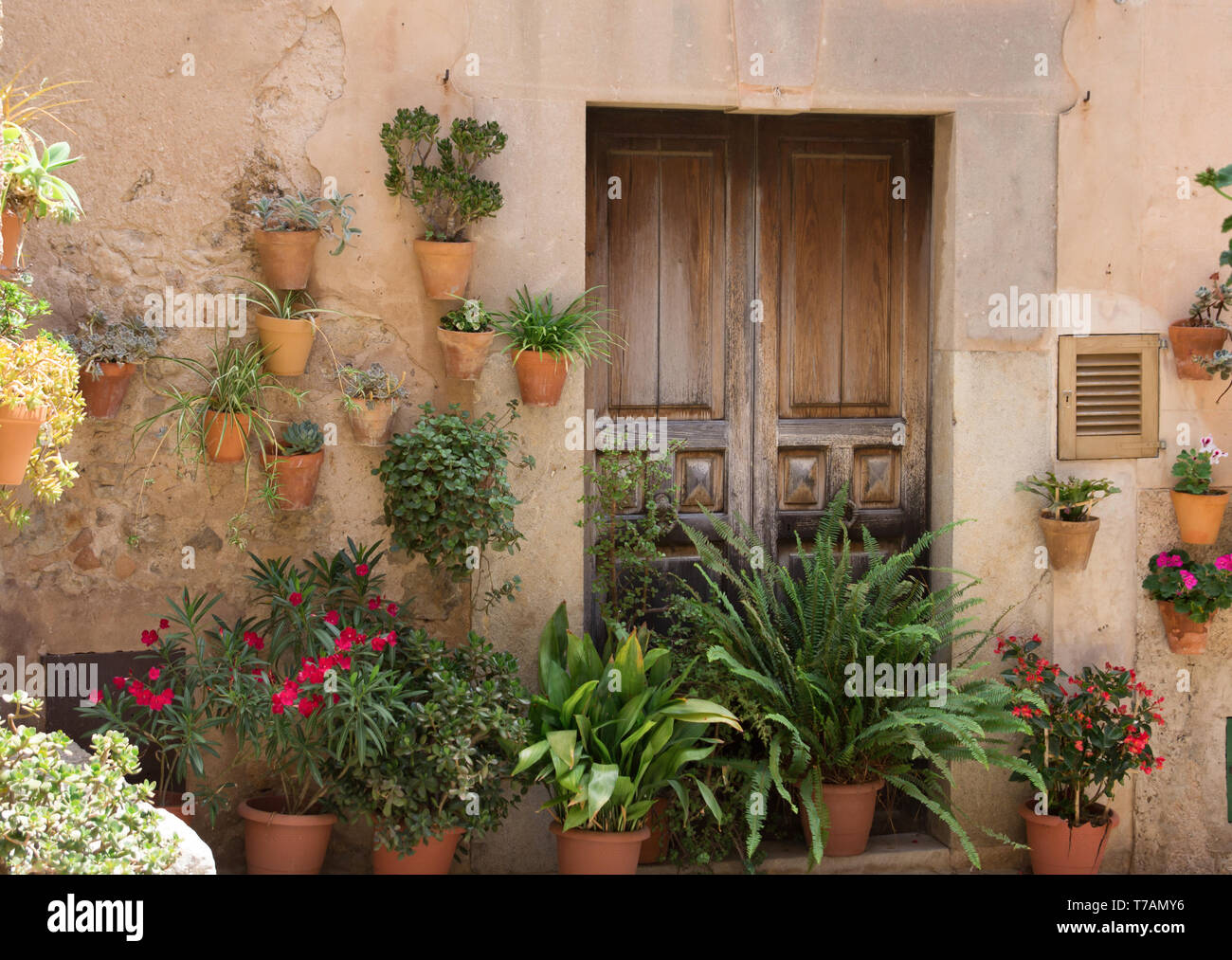Altes holz Tür und viele Topfpflanzen auf die mittelalterliche Straße Stockfoto