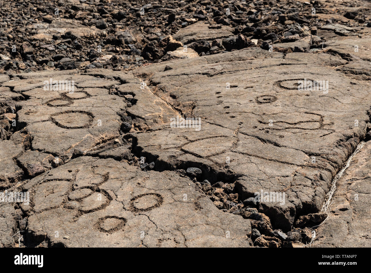 Felszeichnungen in Waikoloa Feld, auf der King's Trail ('Mamalahoa'), in der Nähe von Kona auf der grossen Insel von Hawaii. In vulkanischem Gestein, das früheste von Th geschnitzt Stockfoto