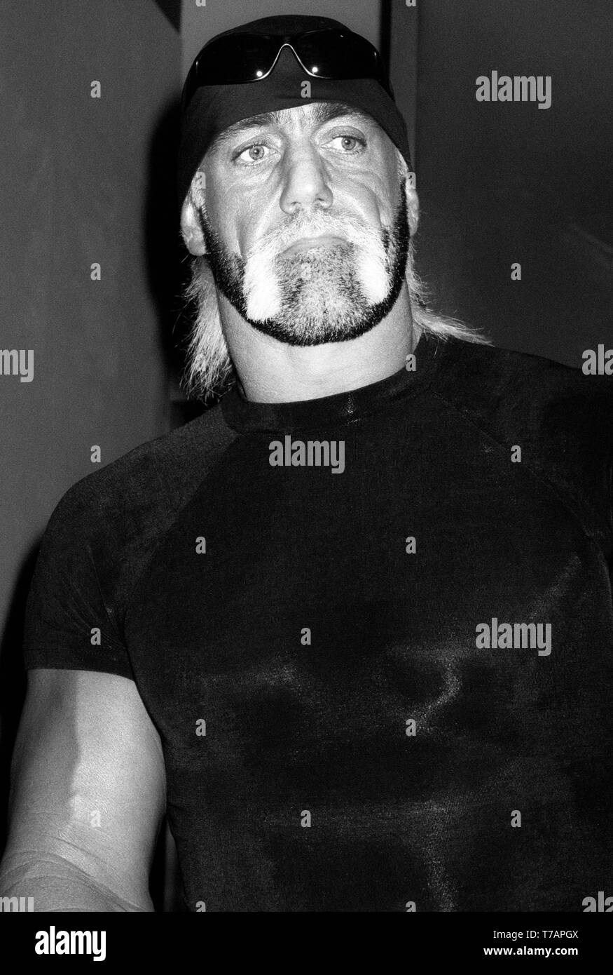 Hulk Hogan 1988 Foto von John Barrett/PHOTOlink.net Stockfoto