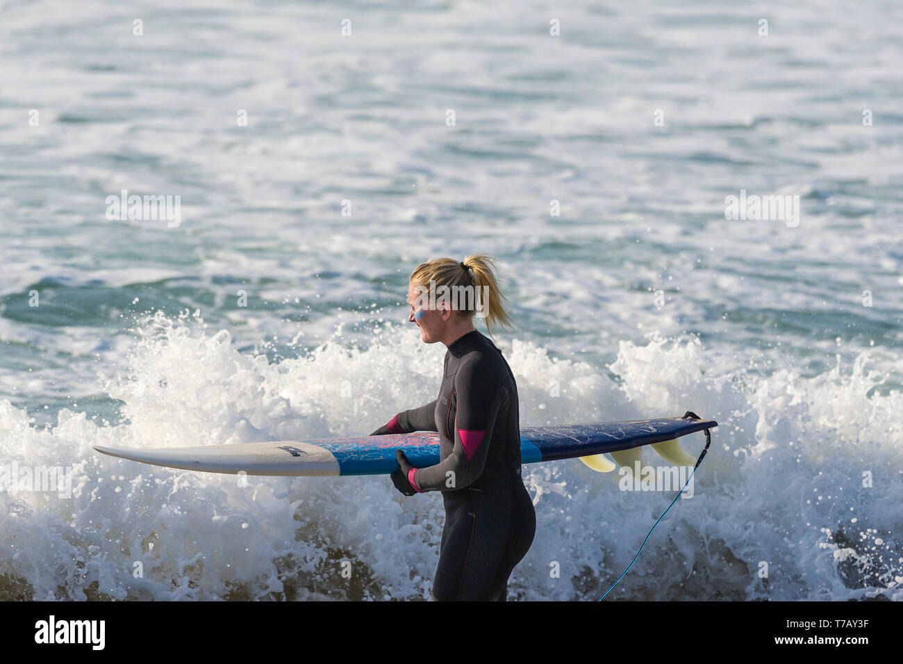 Eine weibliche surfen Ihr Surfbrett mit in das Meer bei beliebten Hotspot surfen Fistral Beach in Newquay in Cornwall. Stockfoto