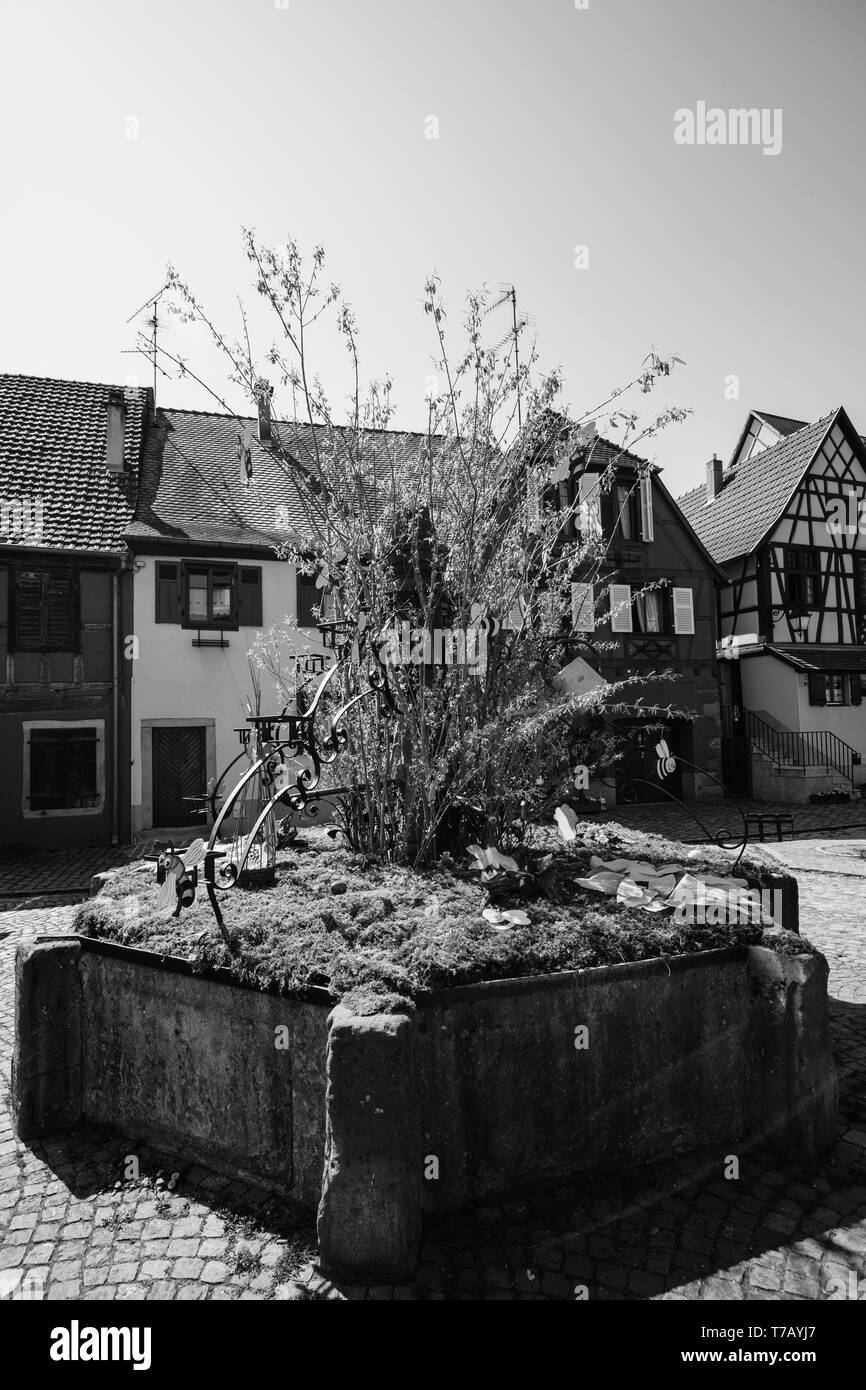 Schwarz-weiß-Bild der Ostereier auf dem zentralen Baum im französischen Elsass Bergheim Dorf im zentralen Platz Stockfoto