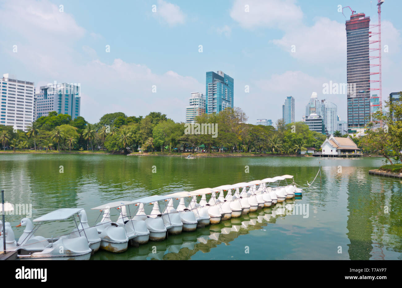 Swan Tretboote, See, Lumphini Park, Pathum Wan district, Bangkok, Thailand Stockfoto