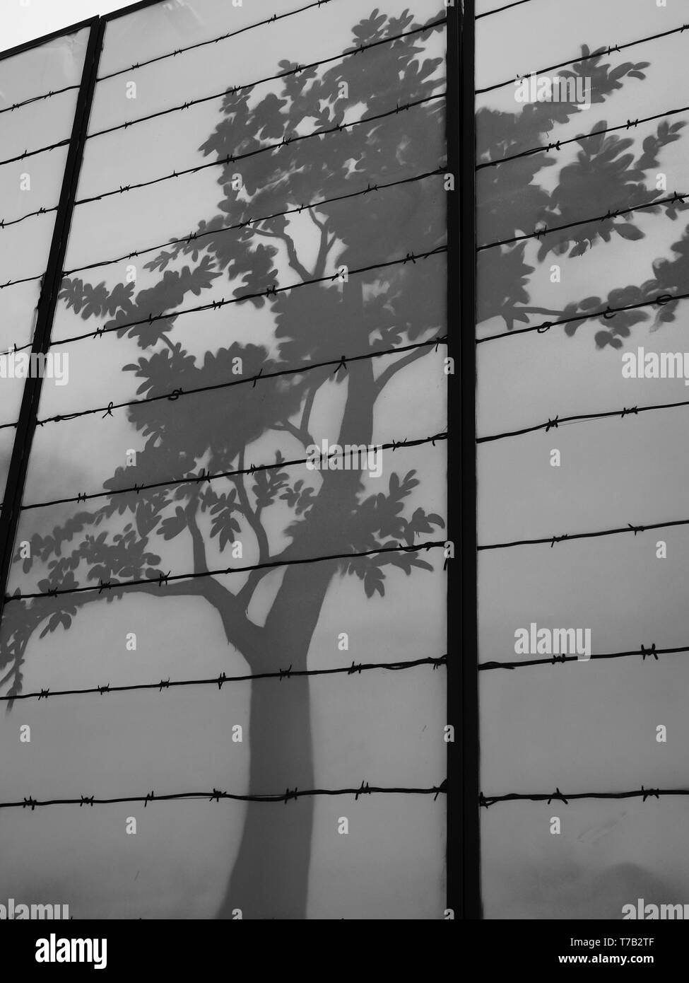 Mailand - Milano - Milano city life Stockfoto