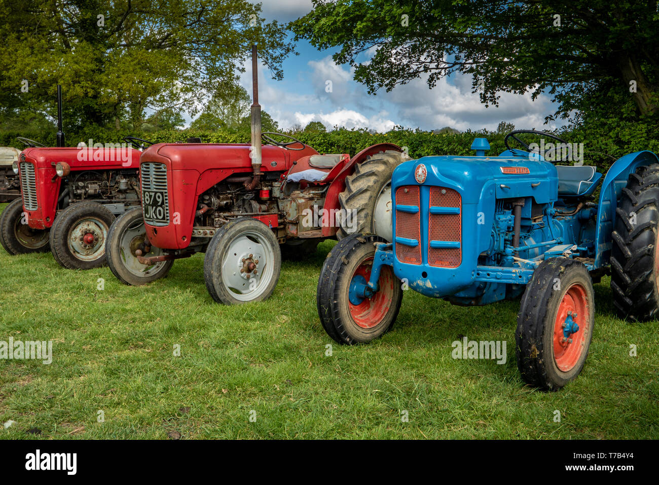 Oldtimer Traktor laufen von Ightham Mote, National Trust, Kent, Massey Ferguson 35, Fordson DEXTA Stockfoto