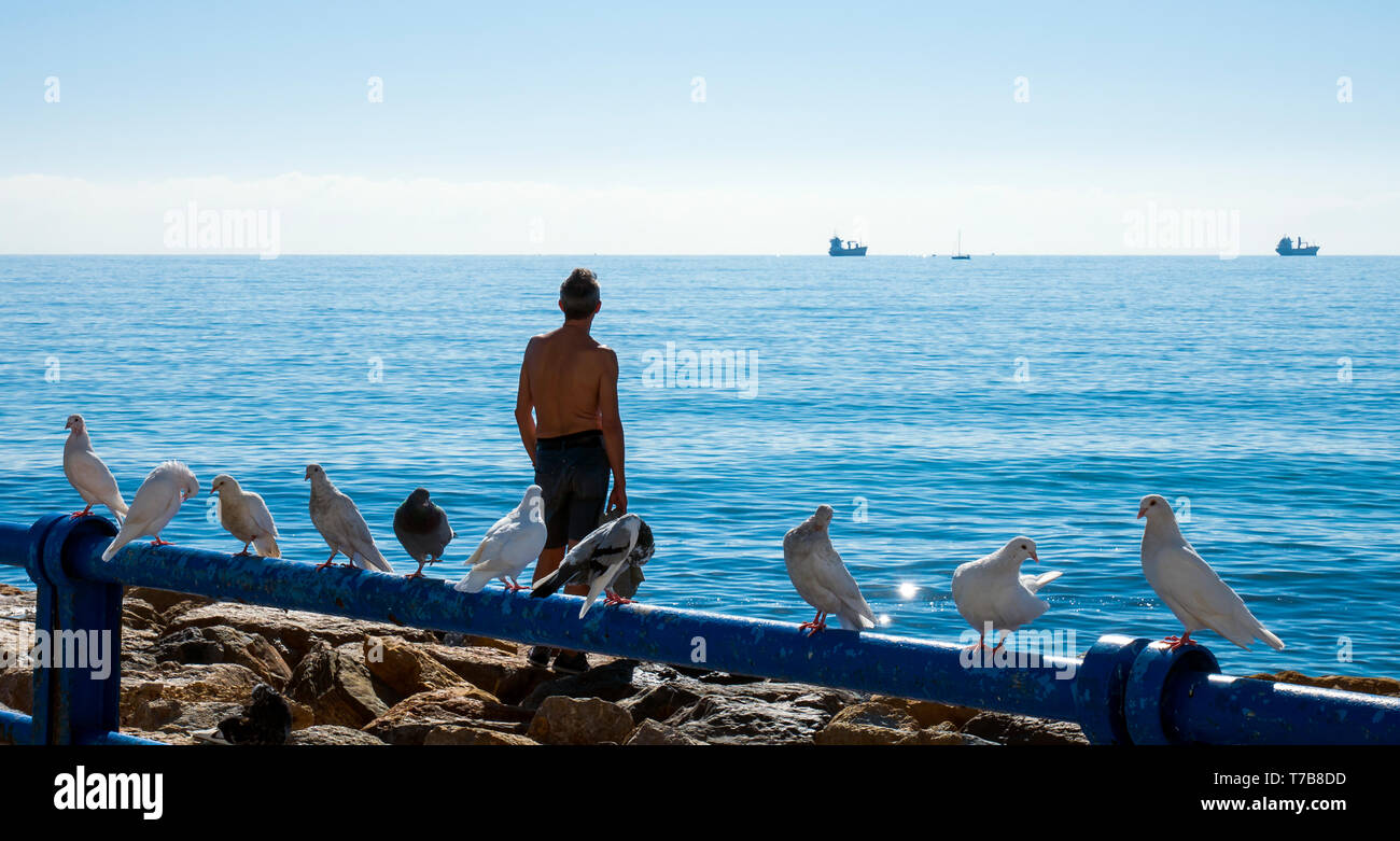 Palomas en El Muelle de Levante. Alicante. Comunidad Valenciana. España Stockfoto