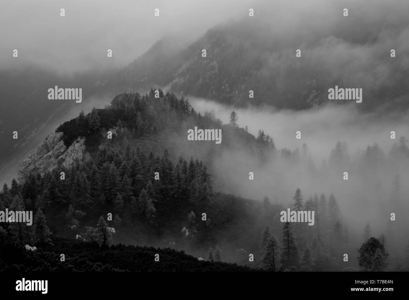 Morgennebel in den Julischen Alpen Stockfoto