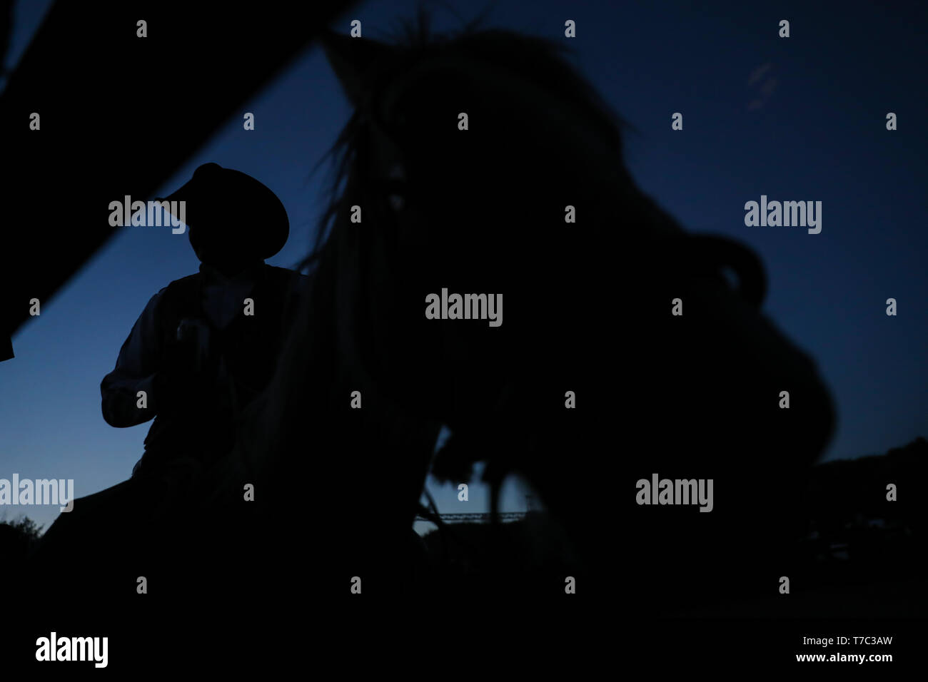 Reiten. Silhouette eines Cowboys mit Hut gegen Licht kurz vor Sonnenuntergang mit der Himmel blau intensiv, während Rodeo in der ejido Cuquiarachi. Stockfoto