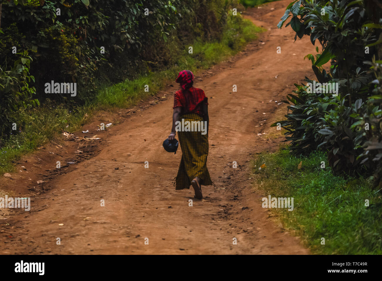 Frau zu Fuß auf der Straße durch, halten sie in ihrer Hand eine Handtasche. Das Tragen der roten Schal auf dem Kopf, Gelb langer Rock. Wilde Natur außerhalb der Stadt, grün Stockfoto