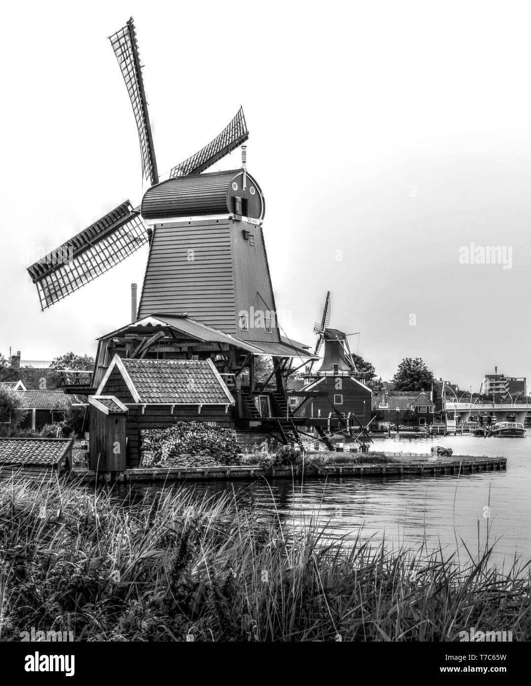 Authentische niederländische Landschaft an einem schönen Tag Stockfoto