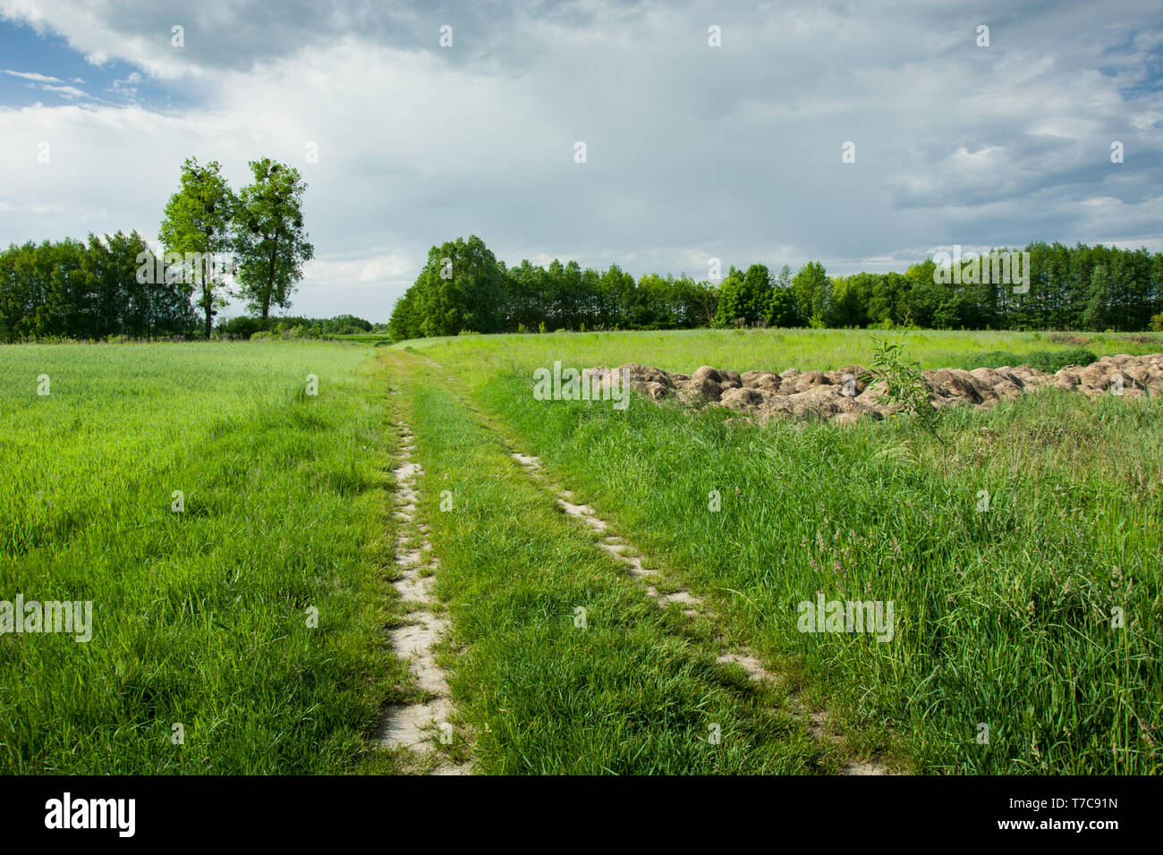 Boden Straße durch grüne Felder, Bäume und graue Wolken am Himmel Stockfoto