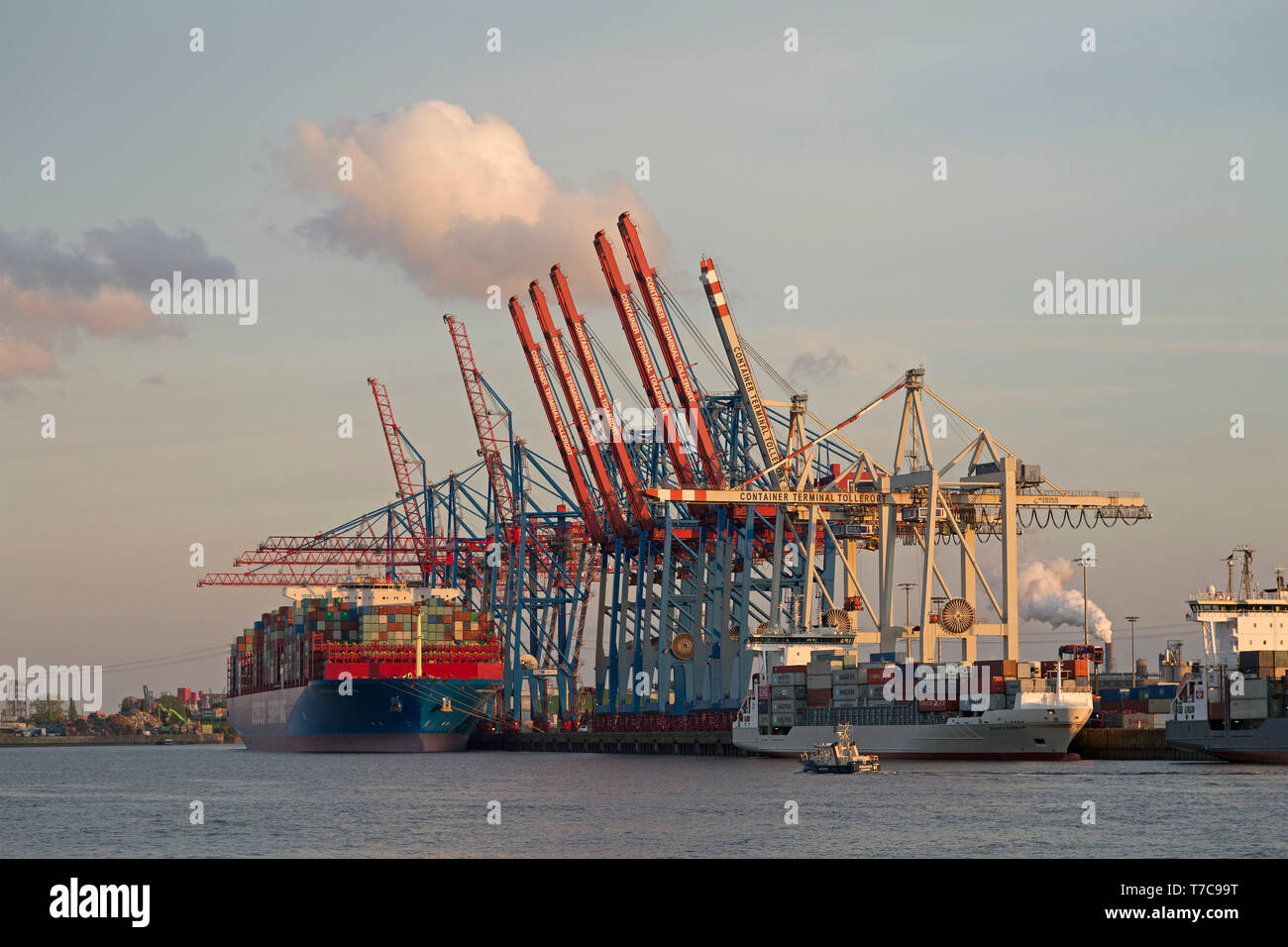 Container Terminal Tollerort, Hamburg, Deutschland Stockfoto