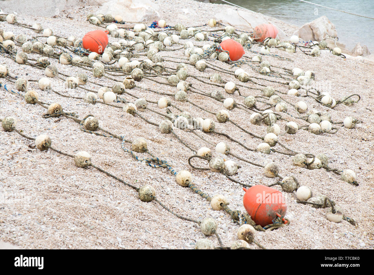 Bojen auf Seilen an der Küste Strand gesäumt und bereit, in Meerwasser zu Beginn der Badesaison. Stockfoto