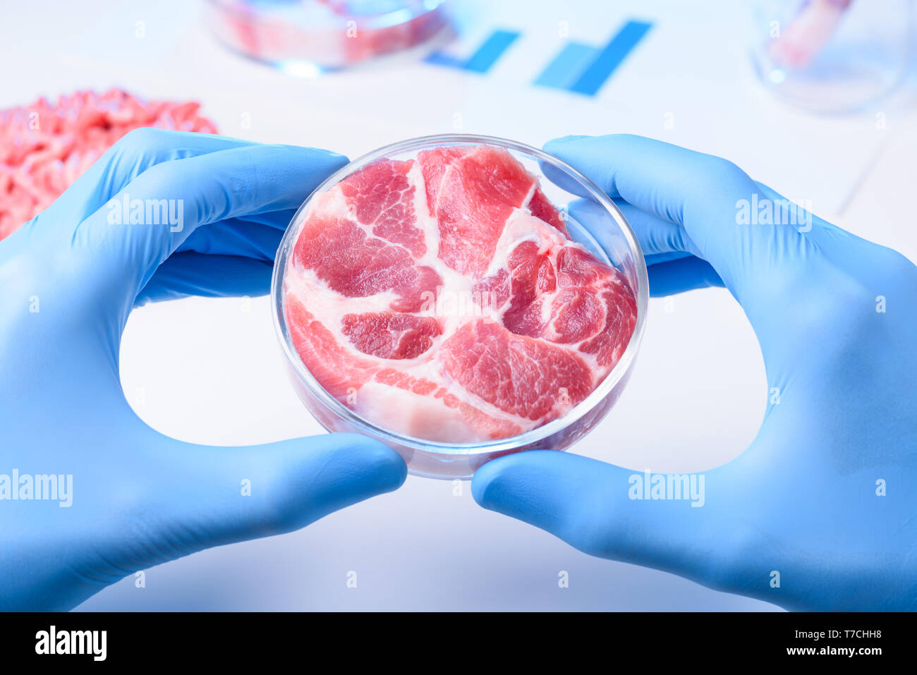 Rohes Fleisch Probe im Labor Petrischale. Kultivierte Labor gewachsen Fleisch oder Fleisch Prüfung Konzept. Stockfoto