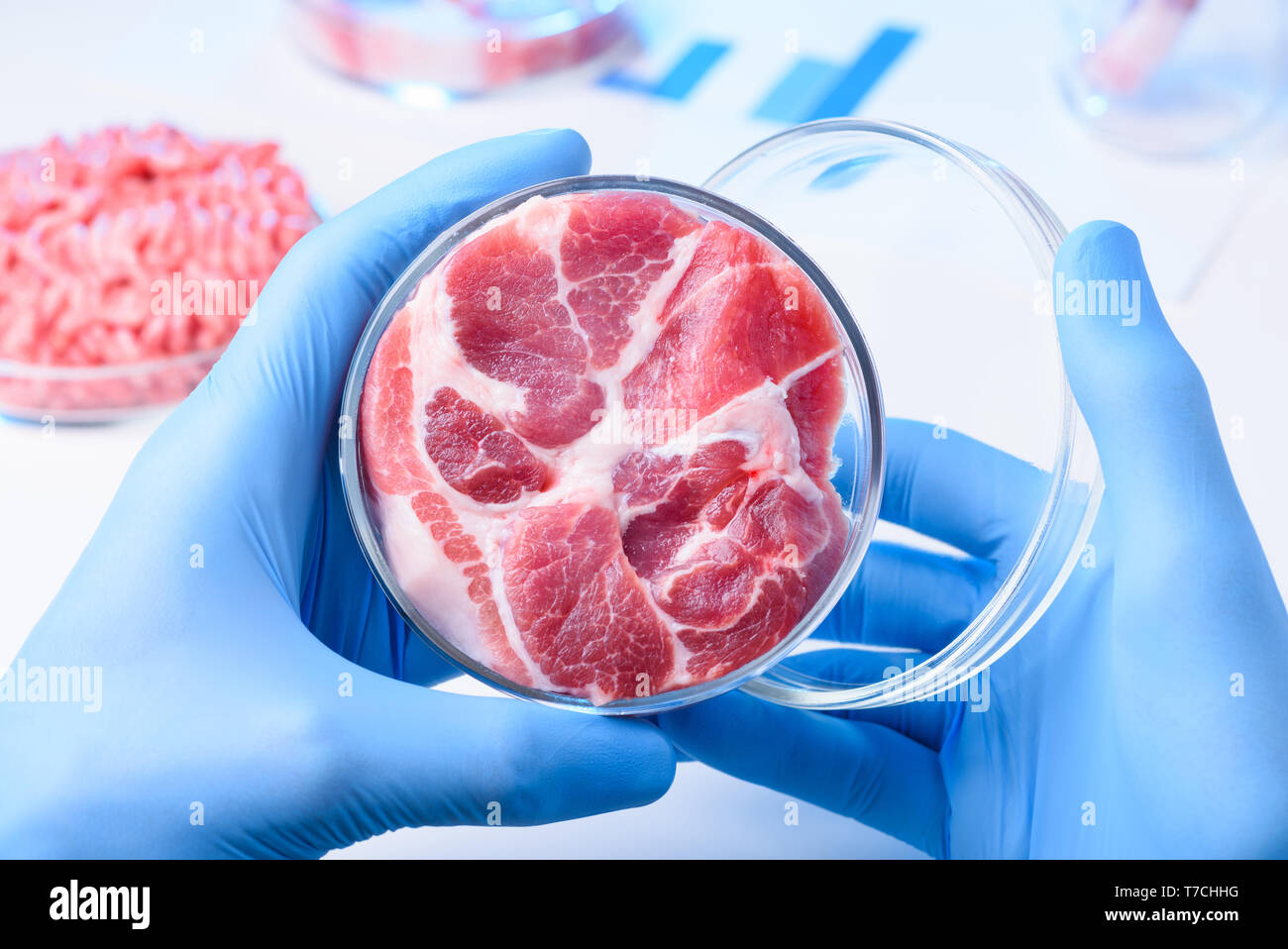Wissenschaftler halten Open lab Petrischale mit rohem Fleisch Stockfoto