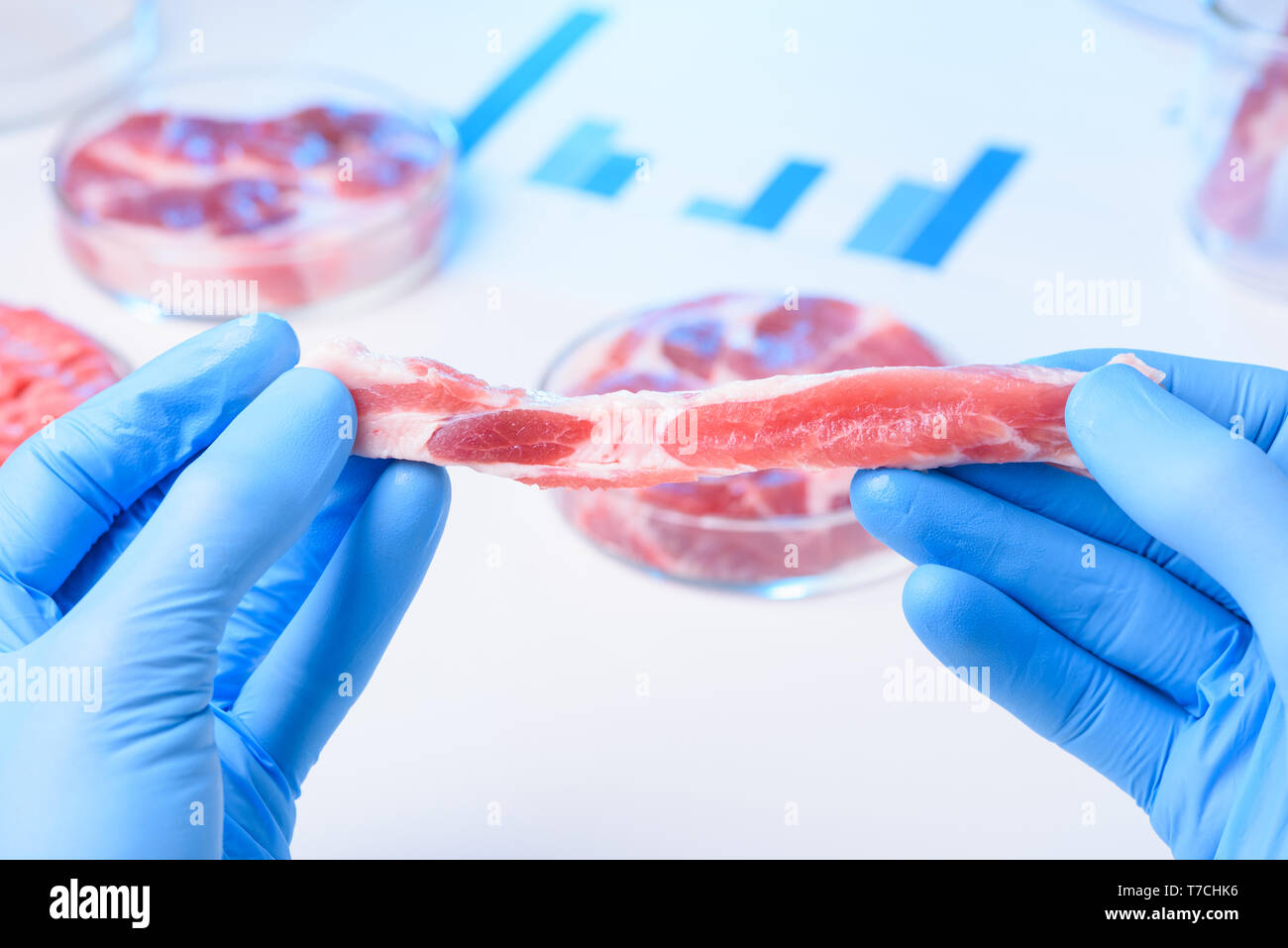 Frisches dunkles Fleisch Probe in Wissenschaftler Hände im Labor. Stockfoto