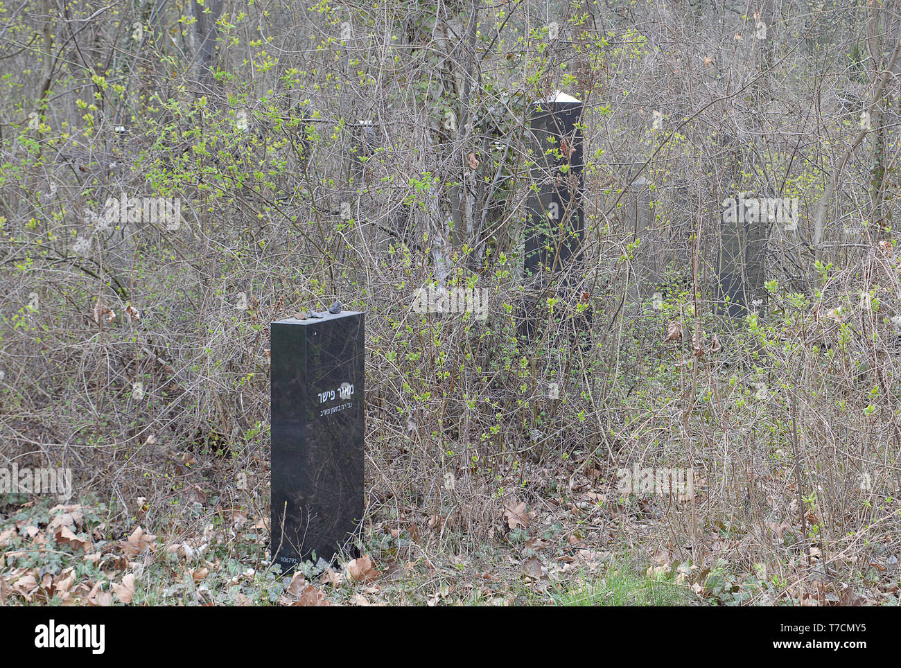 BERLIN - 3. APRIL 2019: Überwucherten Gräber in Weißensee jüdischer Friedhof, zu DDR-Zeiten ignoriert und trotz geschützter Status immer noch schlecht gepflegt. Stockfoto