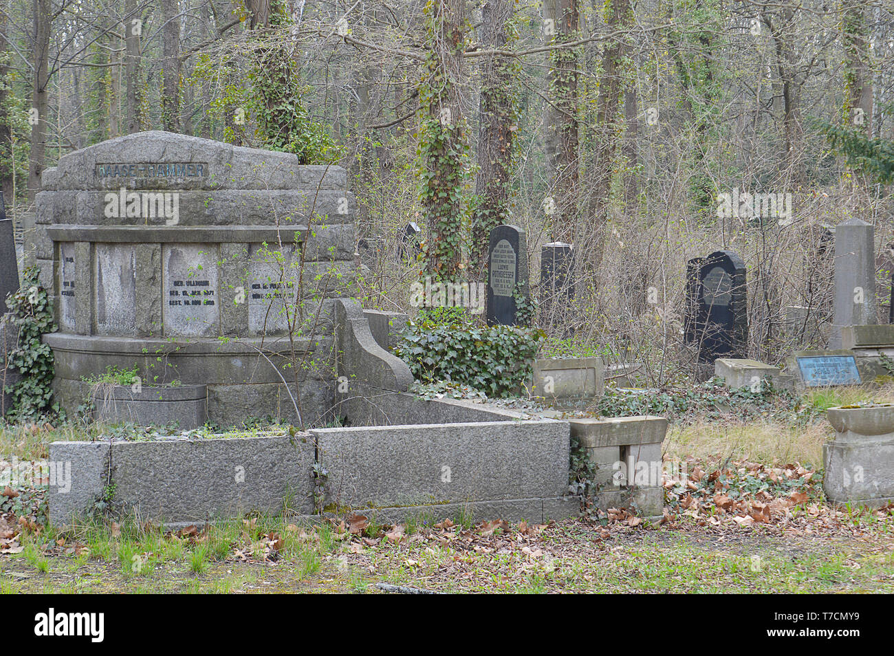 BERLIN - 3. APRIL 2019: Überwucherten Gräber in Weißensee jüdischer Friedhof, zu DDR-Zeiten ignoriert und trotz geschützter Status immer noch schlecht gepflegt. Stockfoto