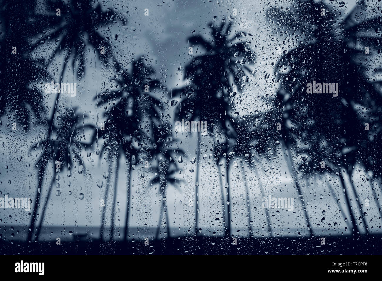 Regen Nebensaison Monsun auf der tropischen Insel Strand. Wassertropfen auf das Glas und dunklem Palm Tree Silhouetten. Stockfoto