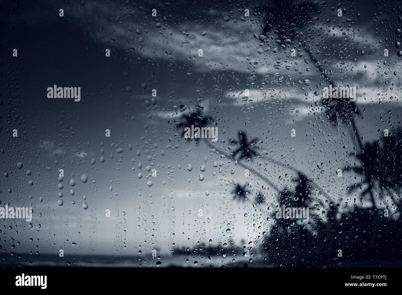 Regen auf tropischen Insel Strand. Wassertropfen auf das Glas und dunklem Palm Tree Silhouetten. Stockfoto