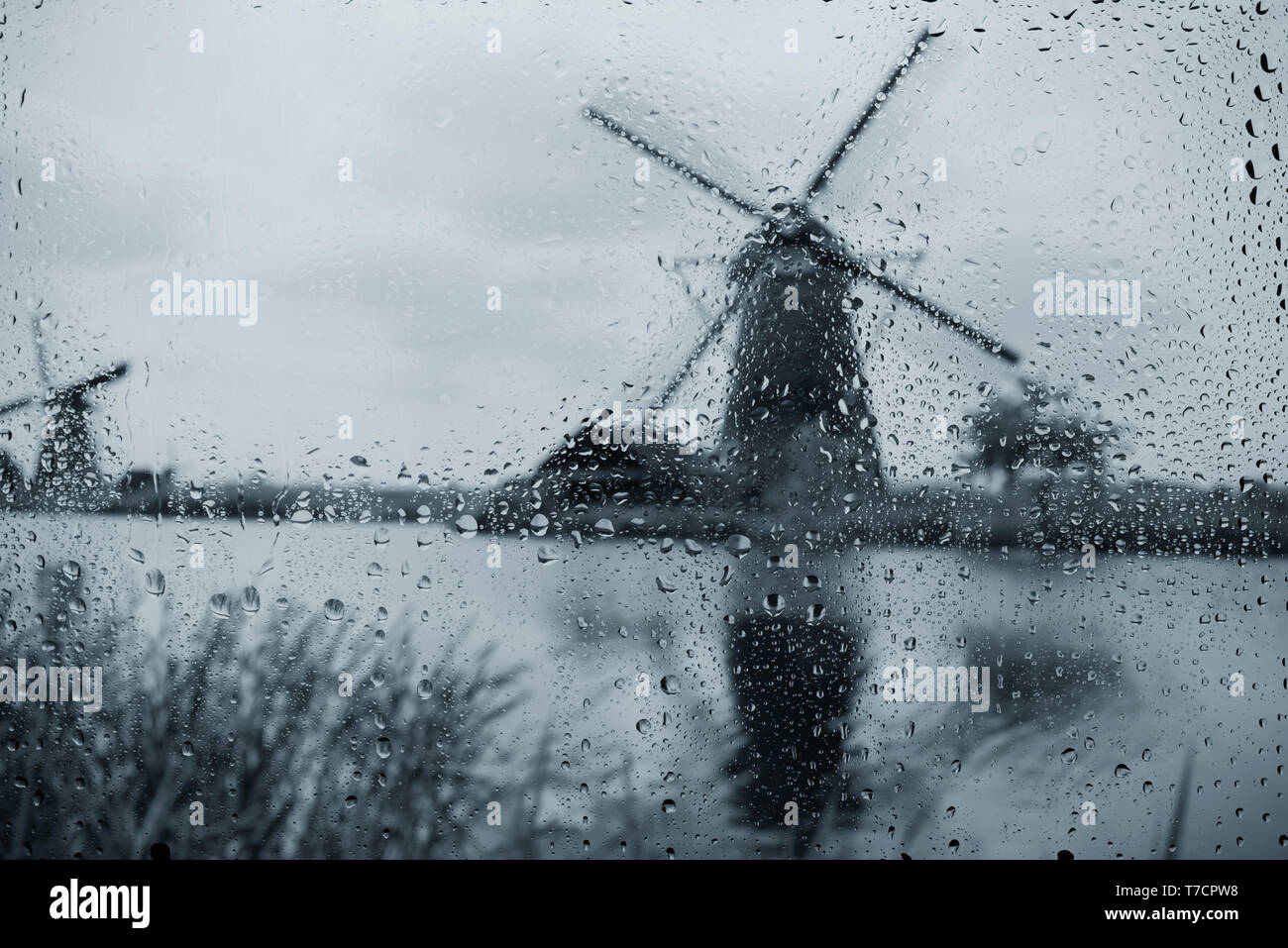 Windmühlen auf Canal Bank bei regnerischen Herbst wetter Niederlande Stockfoto