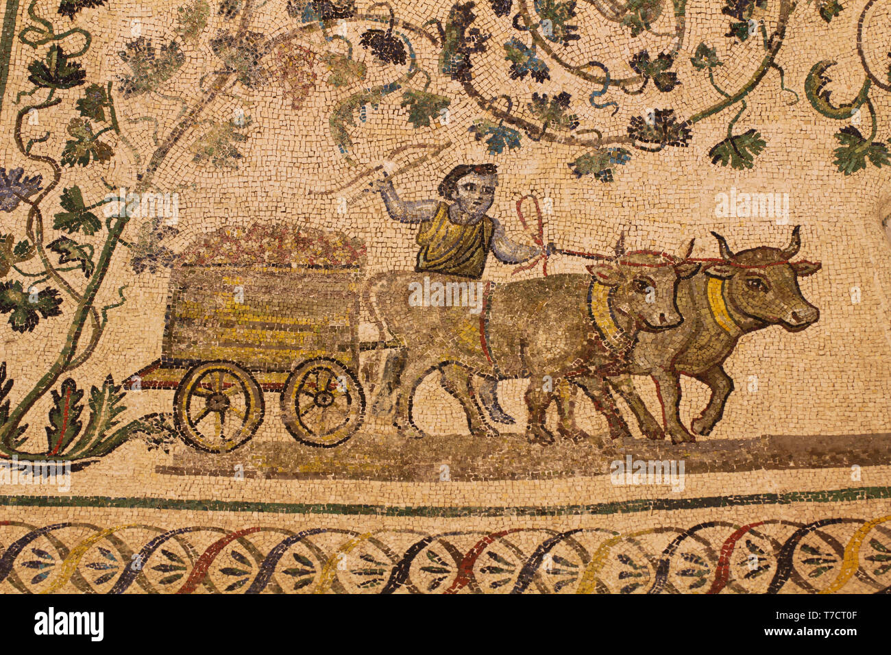Weinbereitung - Die römischen Prozess zur Herstellung von Wein - Detail der ambulanten Mosaiken im Mausoleum von Santa Costanza (frühe christliche kunst - 4 c AD) Stockfoto