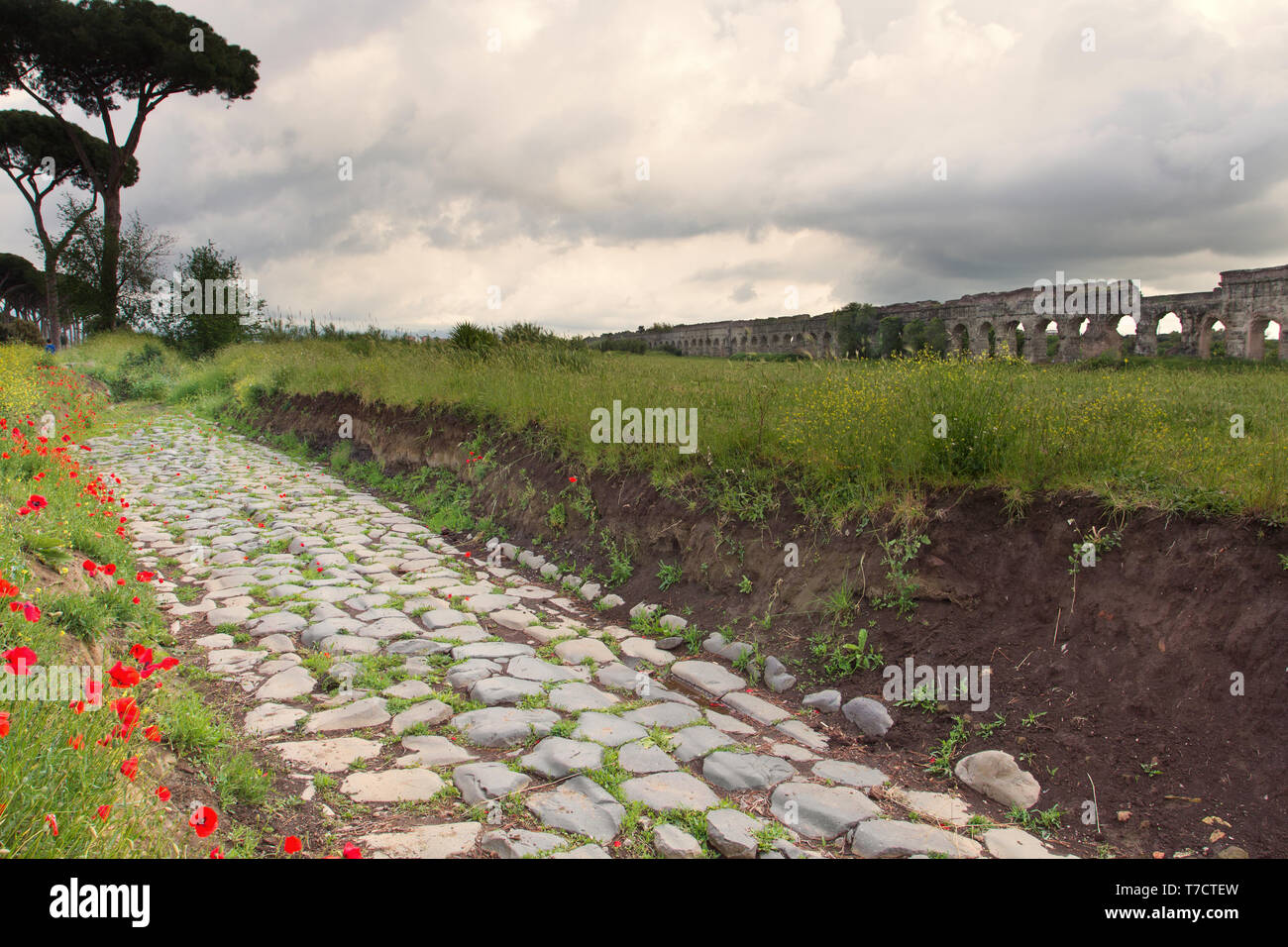 Straßen und Wasserleitungen: die merkwürdigste antike römische öffentliche Arbeiten - über Latina mit Claudian und Anio Novus Aquädukte (Park der Aquädukte) - Rom Stockfoto