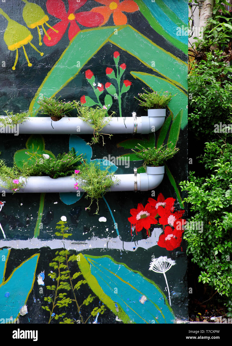 Nette Idee ziemlich Lebensraum zu machen, Blumentöpfe aus Wasserleitungen an der Wand mit bunten Malerei Hintergrund, grüne Wand machen ziemlich Weg Stockfoto