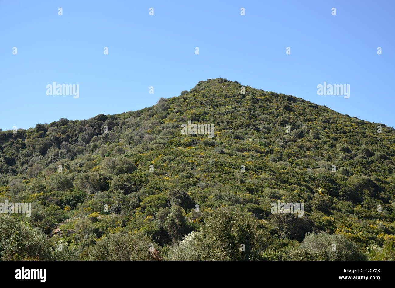 Die malerische Landschaft des Westen Sardinien Stockfoto