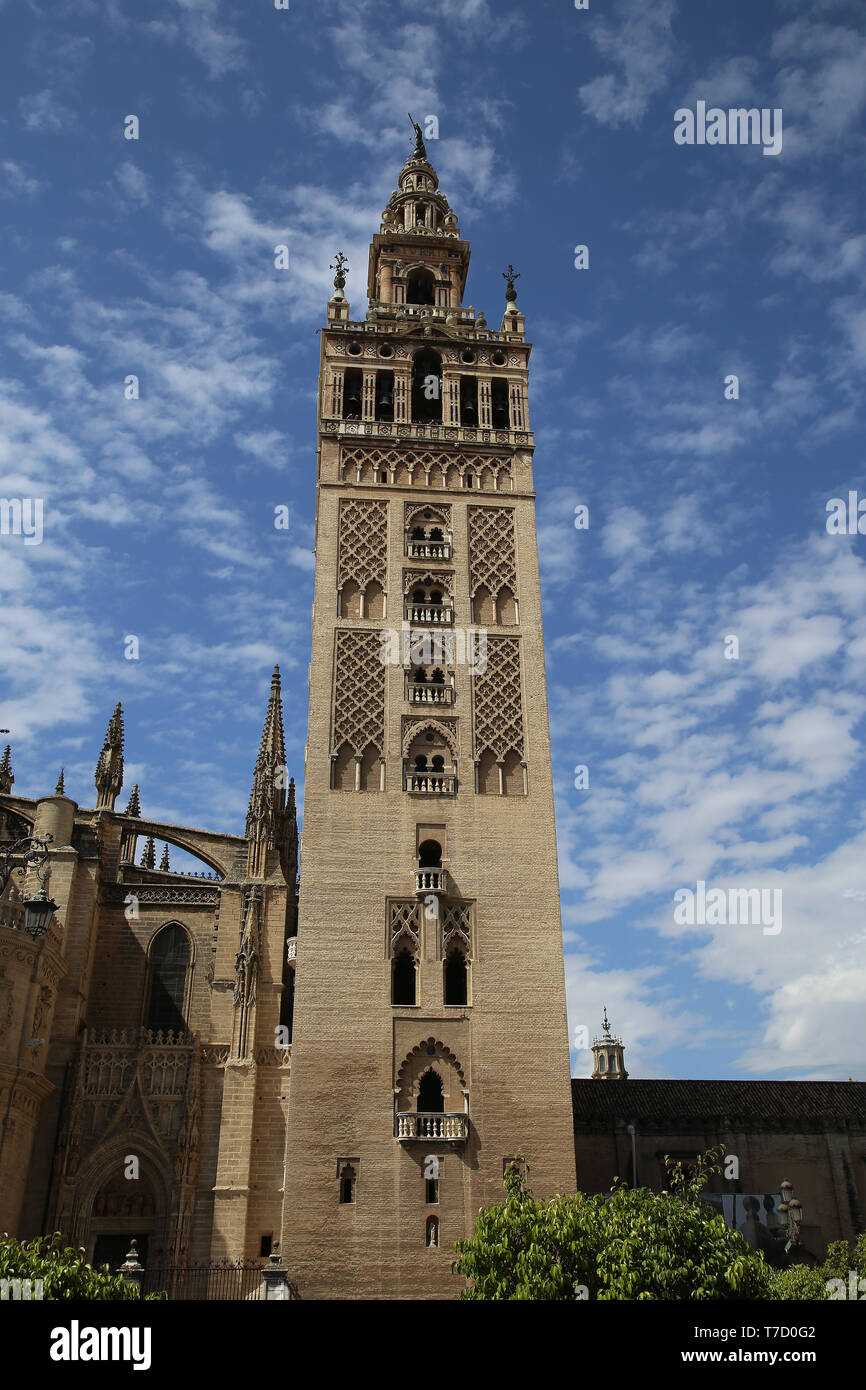 Spanien. Andalusien. Sevilla. Die Giralda, alte Minarett der Großen Moschee. Almohaden Stil. 12. Jahrhundert. Die Kathedrale von Sevilla. Stockfoto