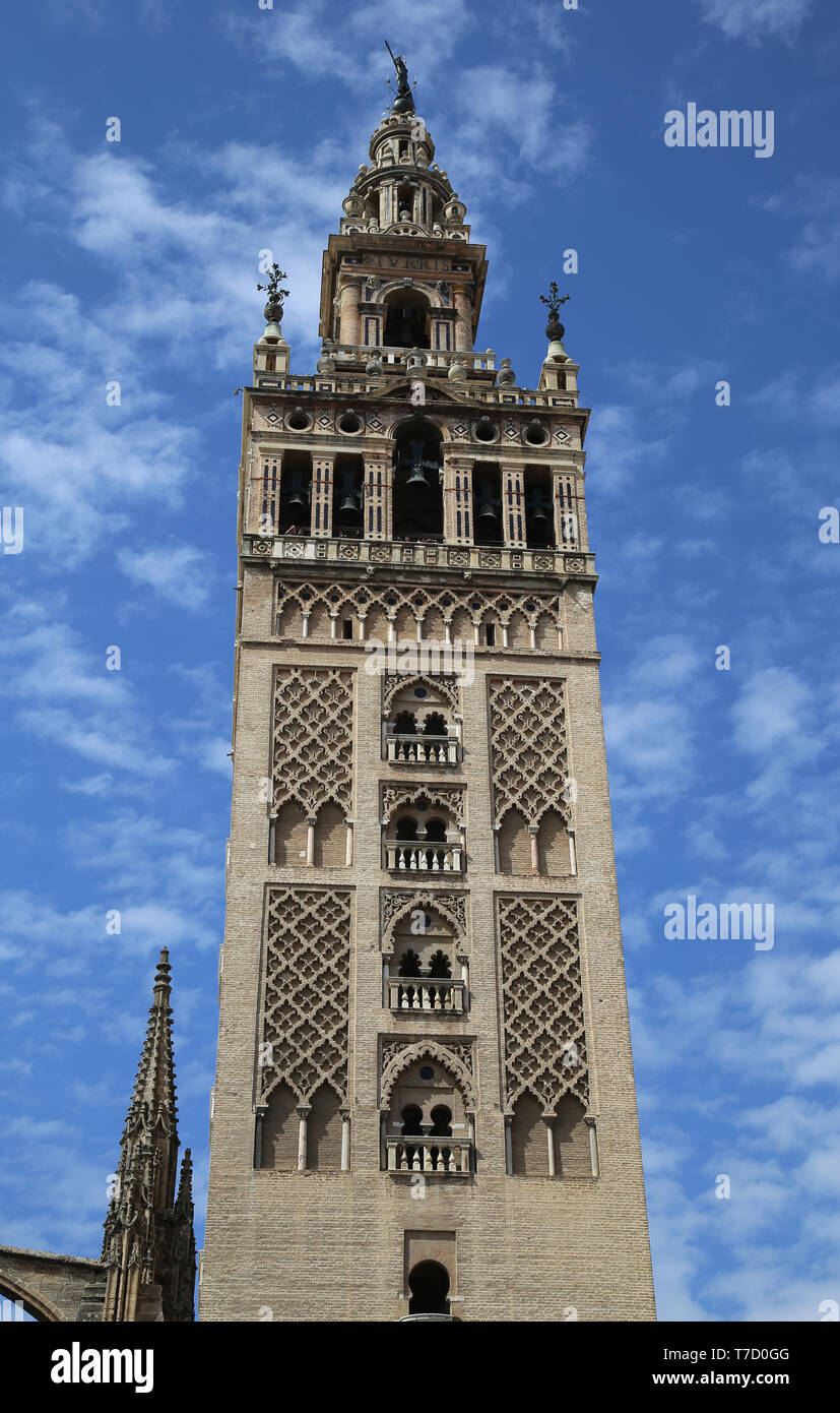 Spanien. Andalusien. Sevilla. Die Giralda, alte Minarett der Großen Moschee. Almohaden Stil. 12. Jahrhundert. Die Kathedrale von Sevilla. Stockfoto