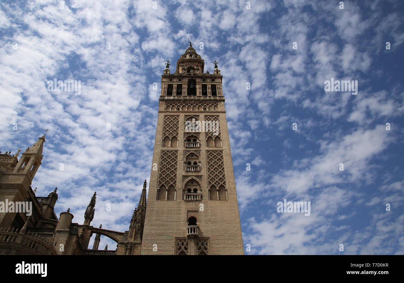 Spanien. Andalusien. Sevilla. Die Giralda, alte Minarett der Großen Moschee. Almohaden Stil. 12. Jahrhundert. Die Kathedrale von Sevilla. Stockfoto