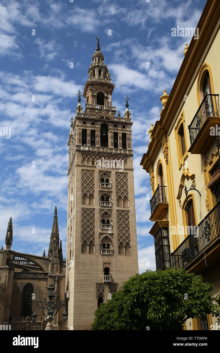 Spanien. Andalusien. Sevilla. Die Giralda, alte Minarett der Großen Moschee. Almohaden Stil. 12. Jahrhundert. Die Kathedrale von Sevilla. Stockfoto
