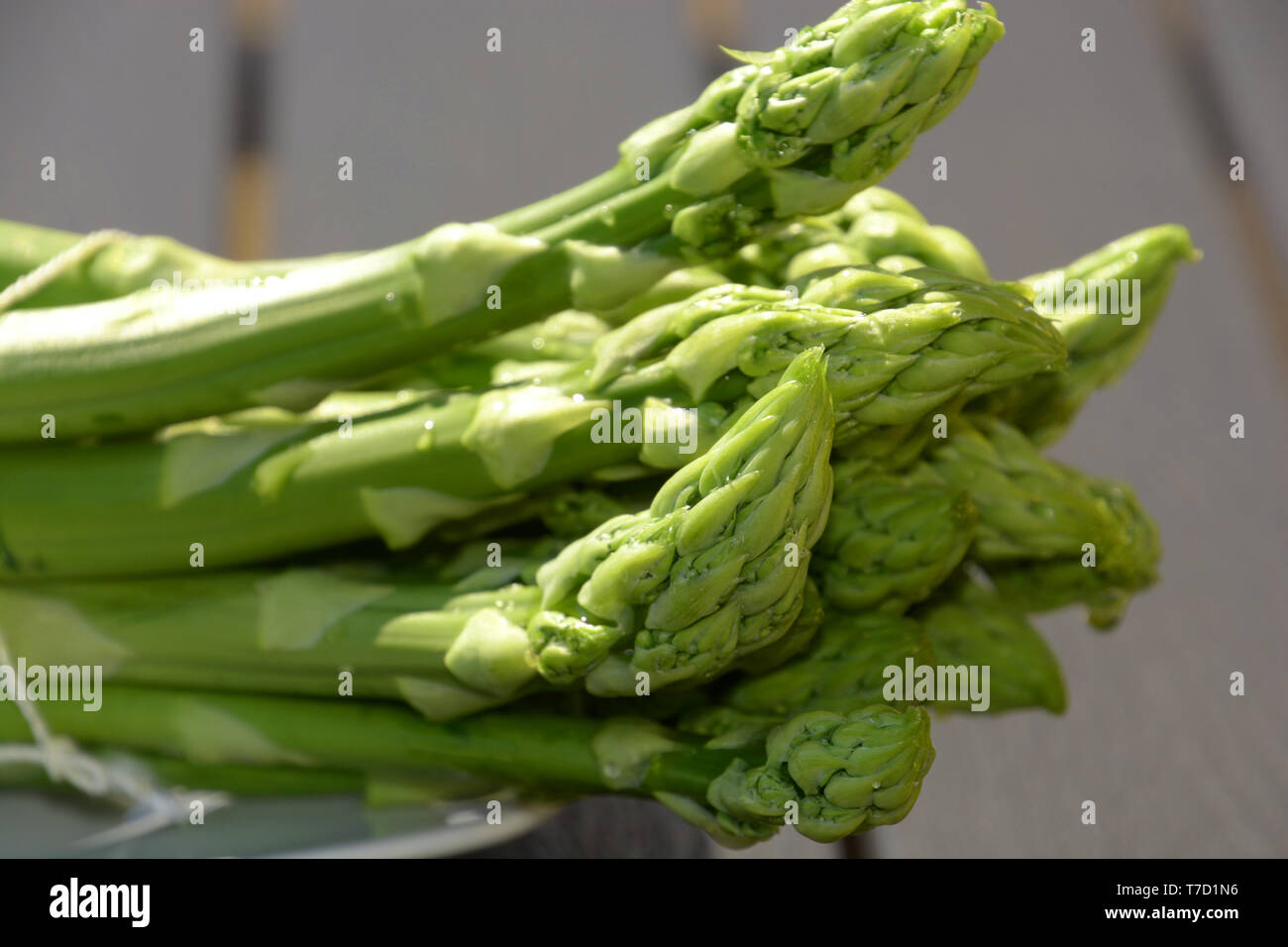 Frisch und roh grüner Spargel Köpfe, ein Bündel von Gewaschenen rohen Garten Spargel oder Spatz Gras auf dem Teller von der Sonne abstrakten Blick leuchtet Stockfoto