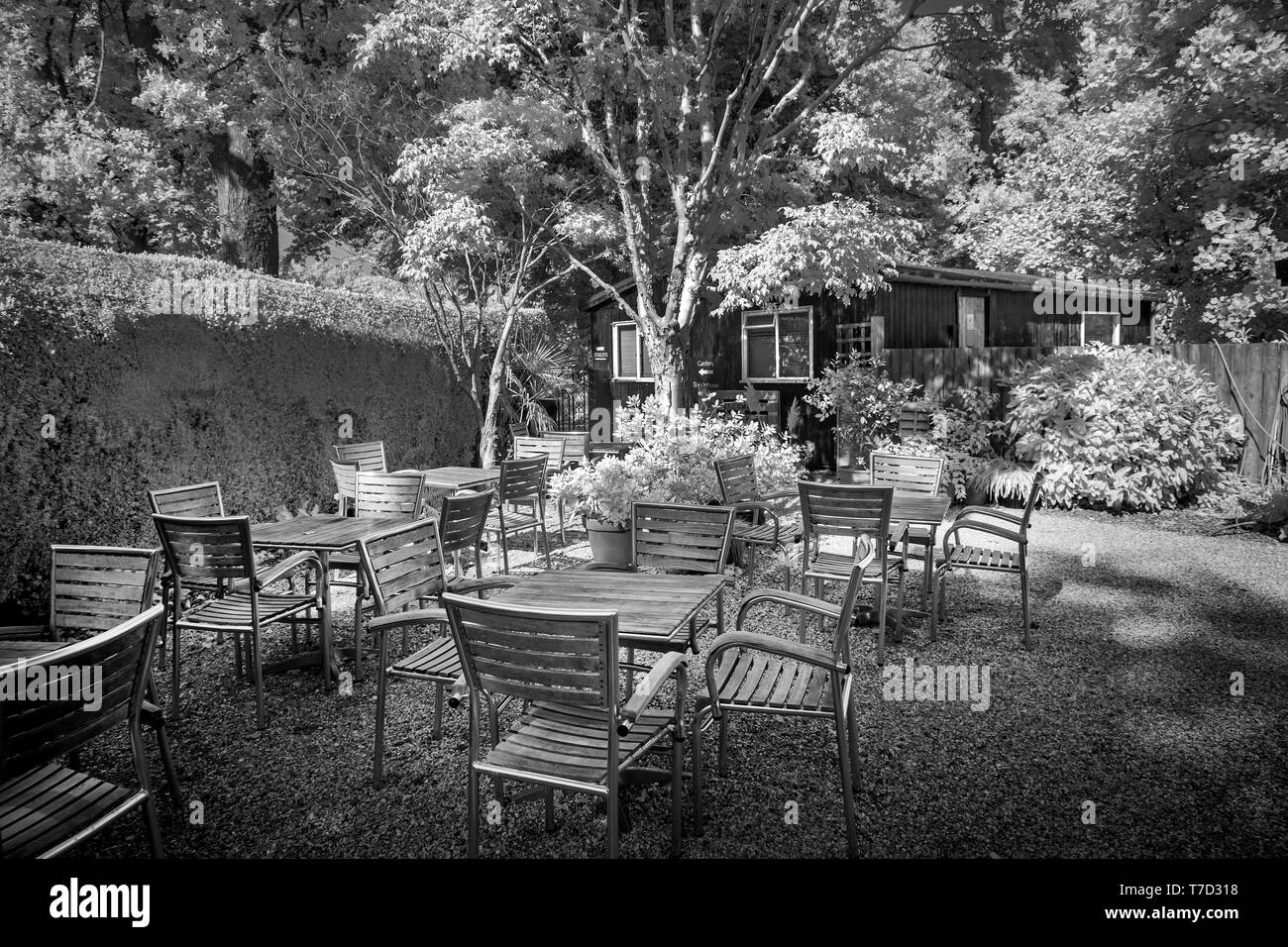 Infrarot monochromen Bild des Larmer Tree Tea Garden, larmer tree Gardens, Wiltshire GROSSBRITANNIEN Stockfoto