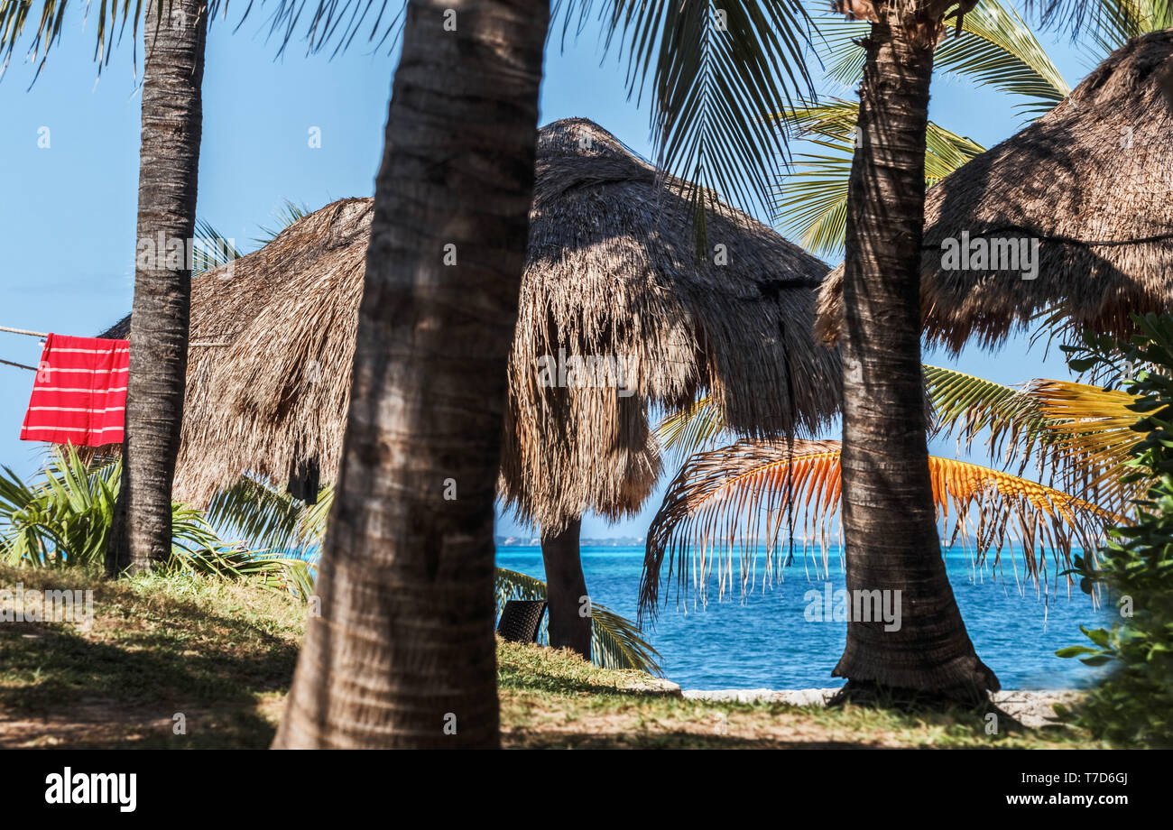 Resort Palmen und Strohdächern auf See Stockfoto