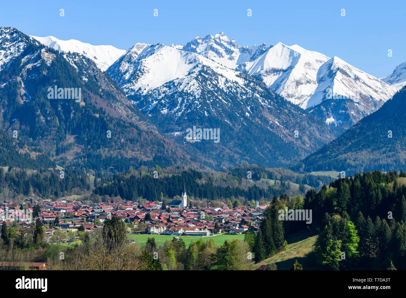 Berg In Den Allguer Alpen