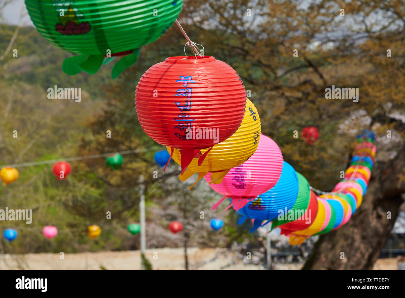 Bunte papierlaternen an Baekunsa Tempel oder 'Tempel der Weißen Wolke' auf Yeonjondo Insel, Incheon, Südkorea Stockfoto