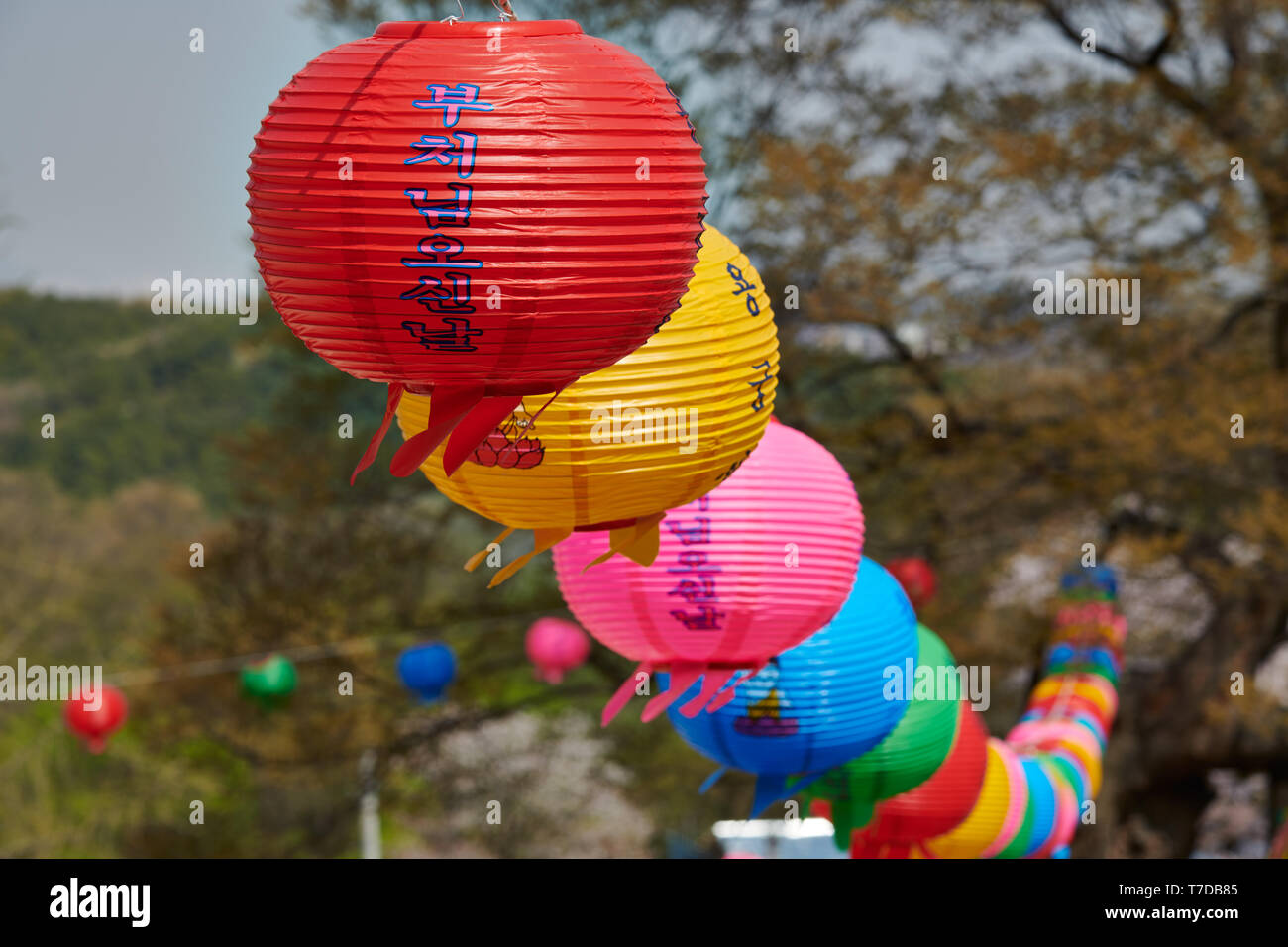 Bunte papierlaternen an Baekunsa Tempel oder 'Tempel der Weißen Wolke' auf Yeonjondo Insel, Incheon, Südkorea Stockfoto