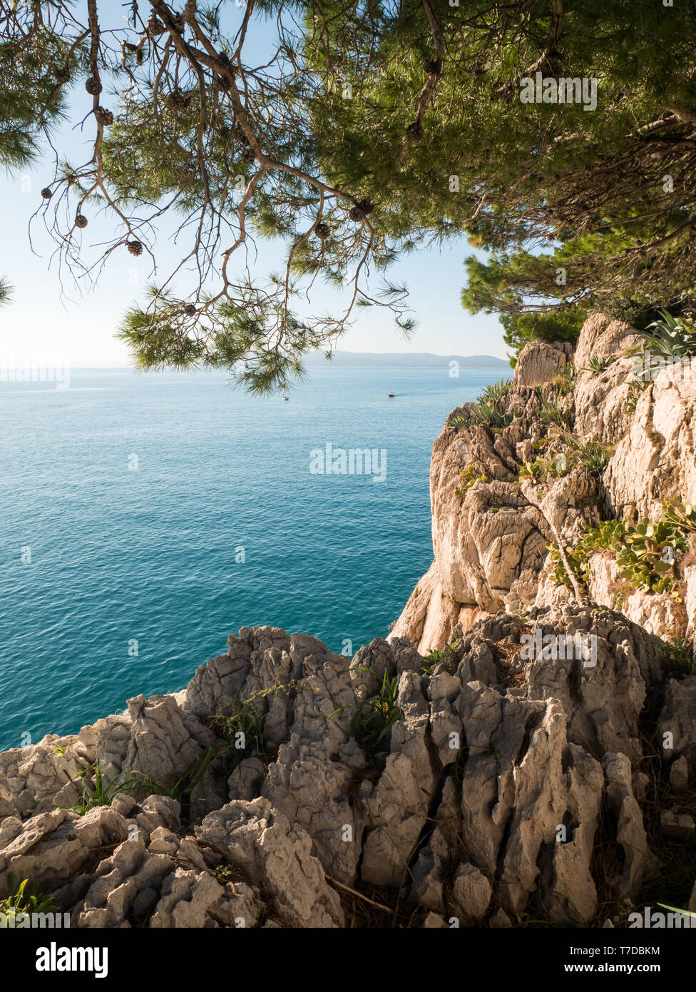 Felsigen Mittelmeerküste mit Pinien und kleinem Boot auf ruhigen, blauen Meer auf sonnigen Sommertag Stockfoto