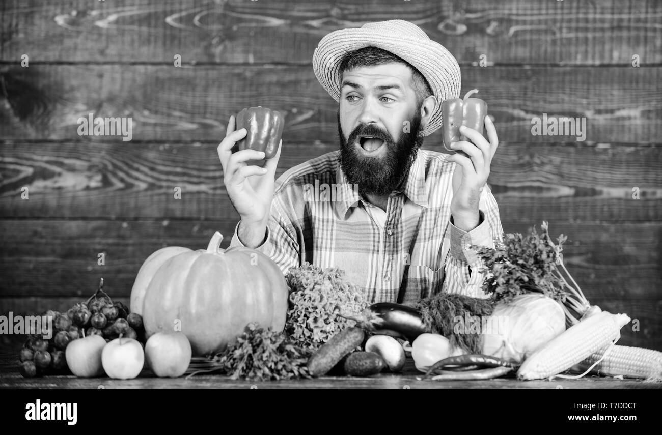 Nur frisches und gesundes Essen. bärtigen reife Landwirt. Harvest Festival. man-Chef mit reichen Herbst Ernte. organische und natürliche Lebensmittel. happy halloween. saisonale Vitamin essen. Nützliche Obst und Gemüse. Stockfoto