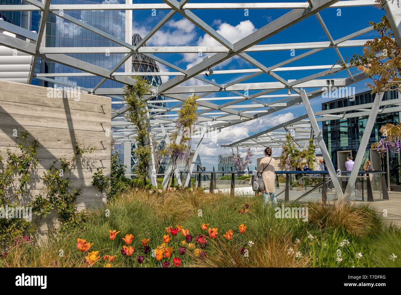 Der Garten 120, ein Dachgarten hat in der City von London auf der neu eröffneten Fen Gericht Bürogebäude, Stockfoto