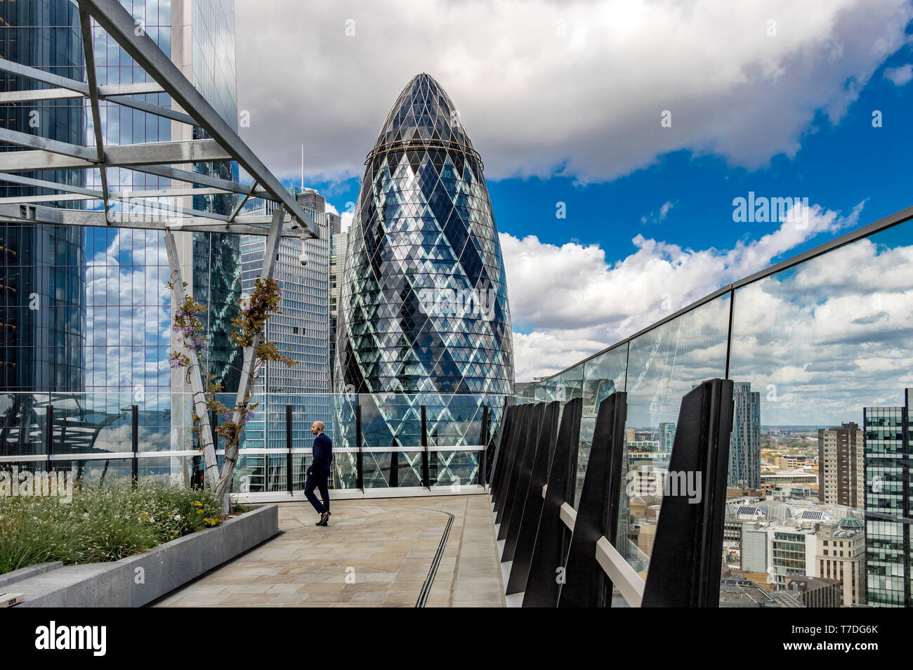 The Gherkin from the Garden at 120 , ein Dachgarten in der City of London auf dem Dach des Fen Court Bürogebäudes in London, Großbritannien Stockfoto