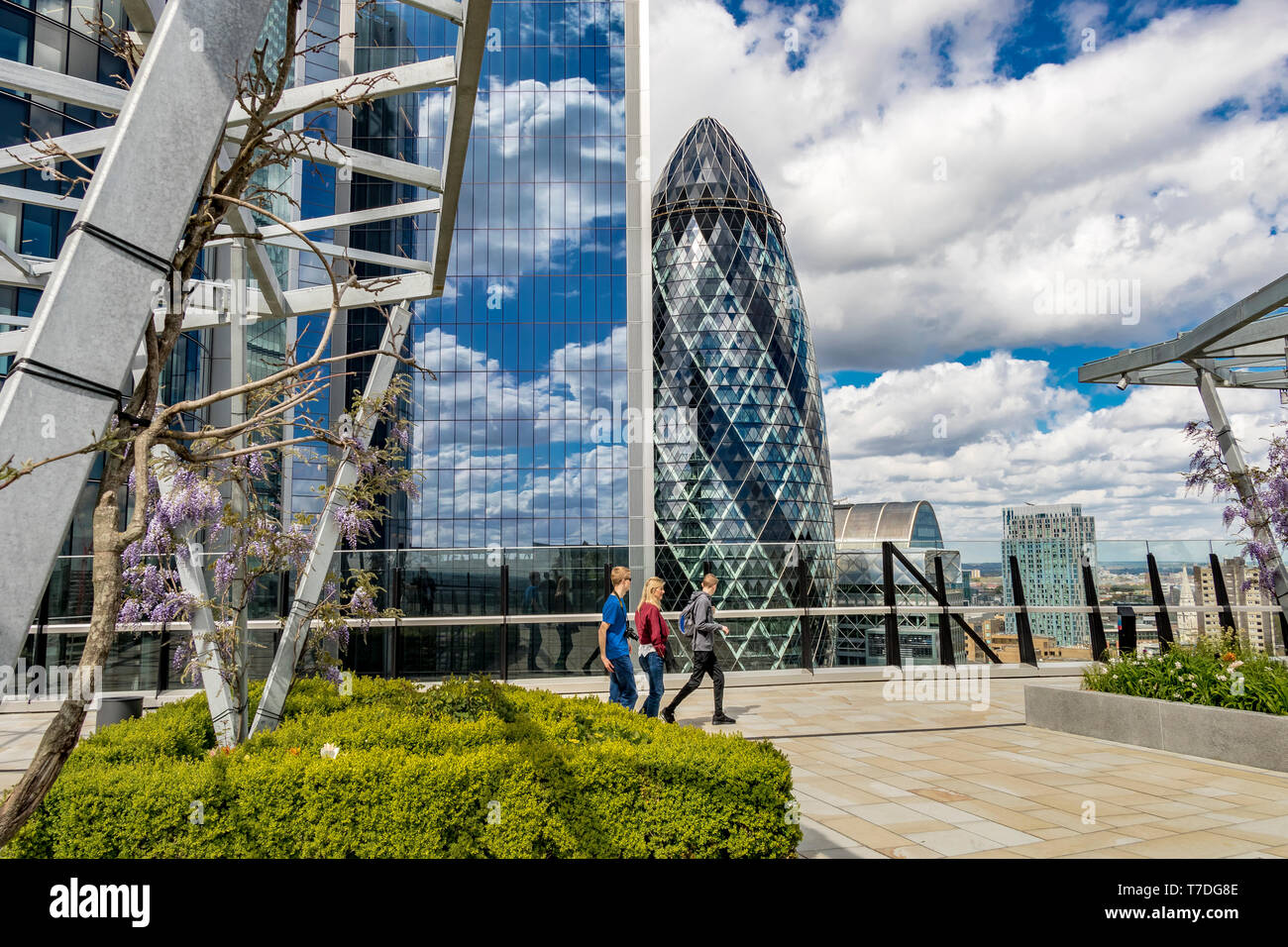 Menschen im „The Garden at 120“, einem Dachgarten auf dem Dach des Bürogebäudes von Fen Court mit dem Gherkin im Hintergrund, City of London, London, Großbritannien Stockfoto
