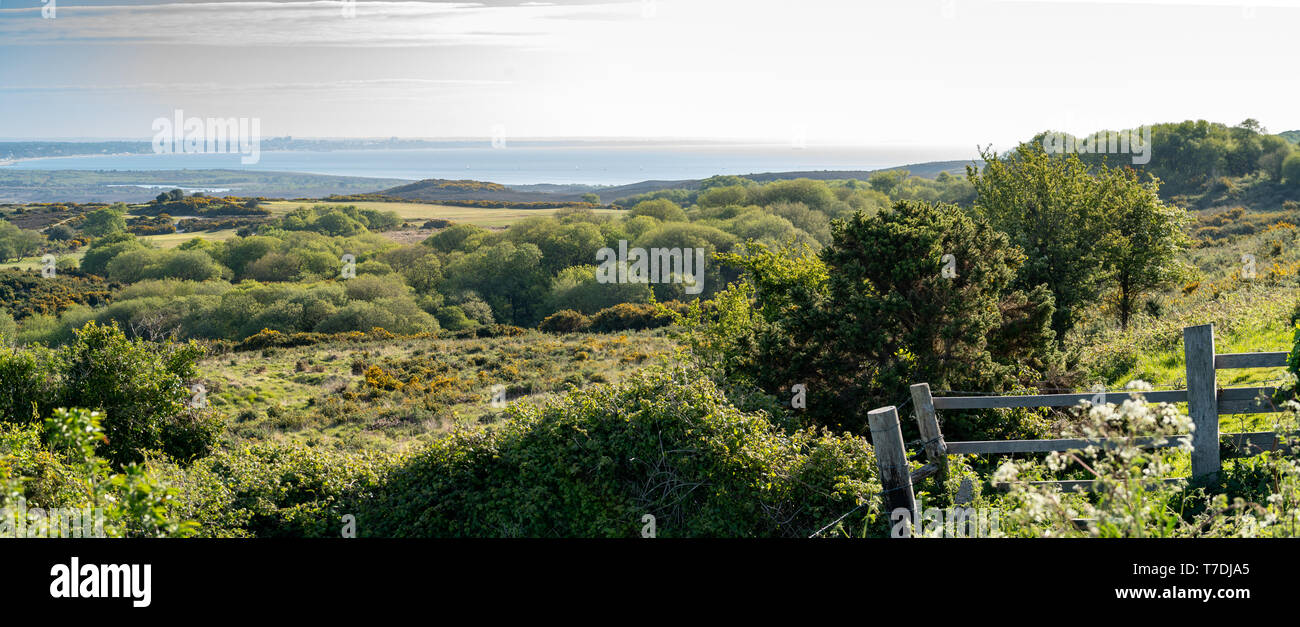 Newtown Sicht, Blick über Studland Bay, Isle of Purbeck,, Godlingston Heide, Poole Harbour. Dorset, Großbritannien. Feder Stockfoto