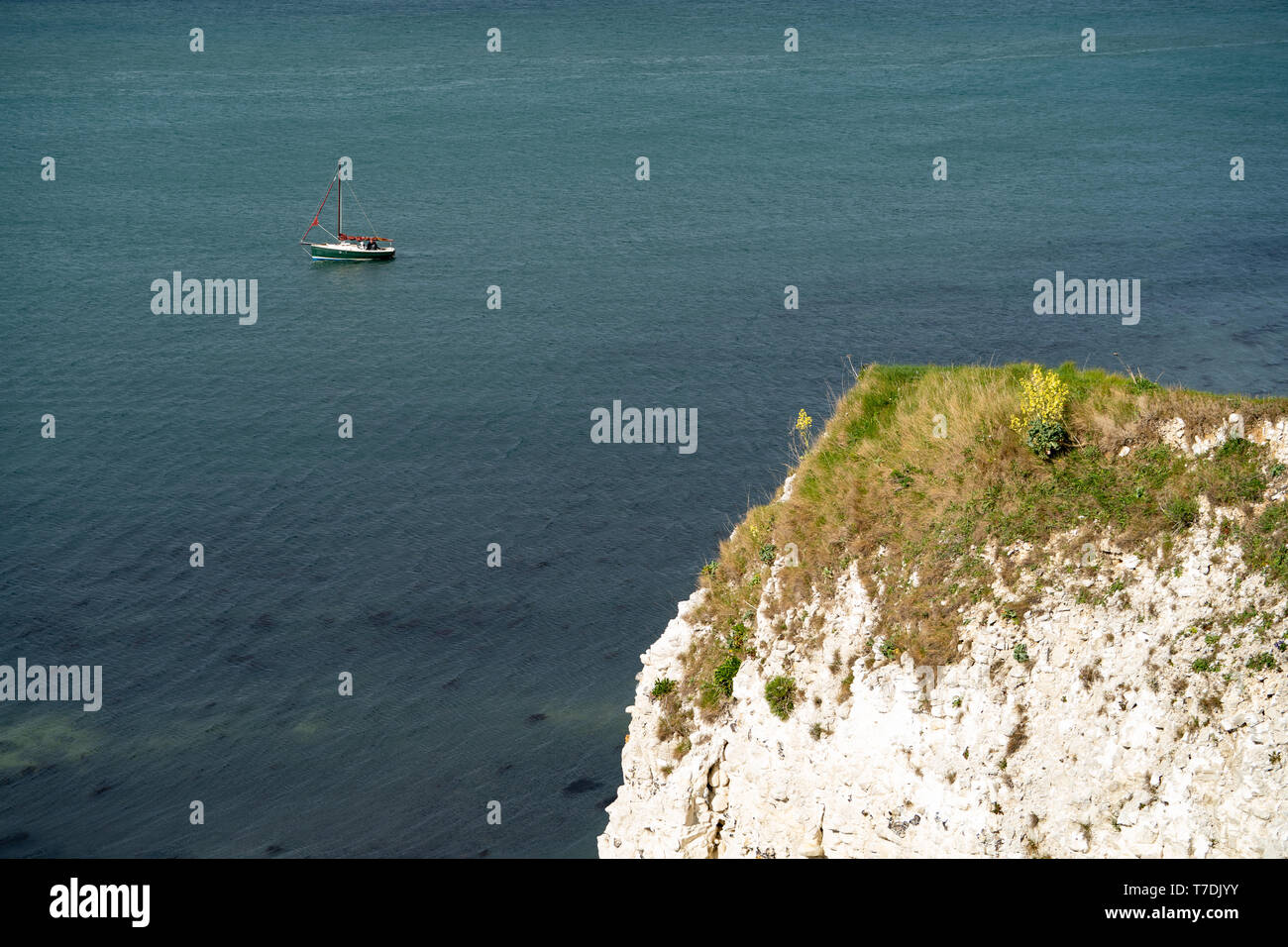 Old Harry Rocks. Chalk Formationen, darunter ein Stapel und einem baumstumpf an. Handfast Punkt auf der Isle of Purbeck, Dorset, Großbritannien. t Stockfoto